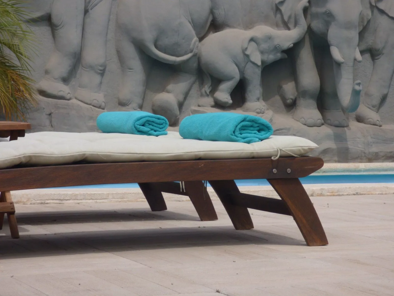 Bioklimatisches Haus auf Teneriffa - Natur - Entspannung