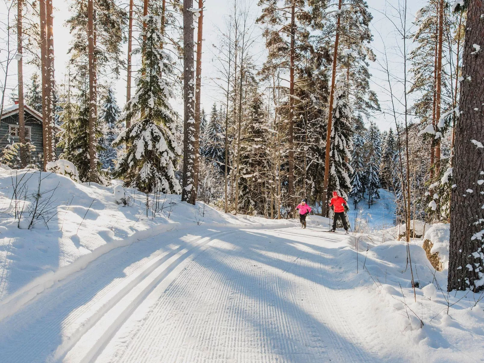 Vesan villa - Binnen
