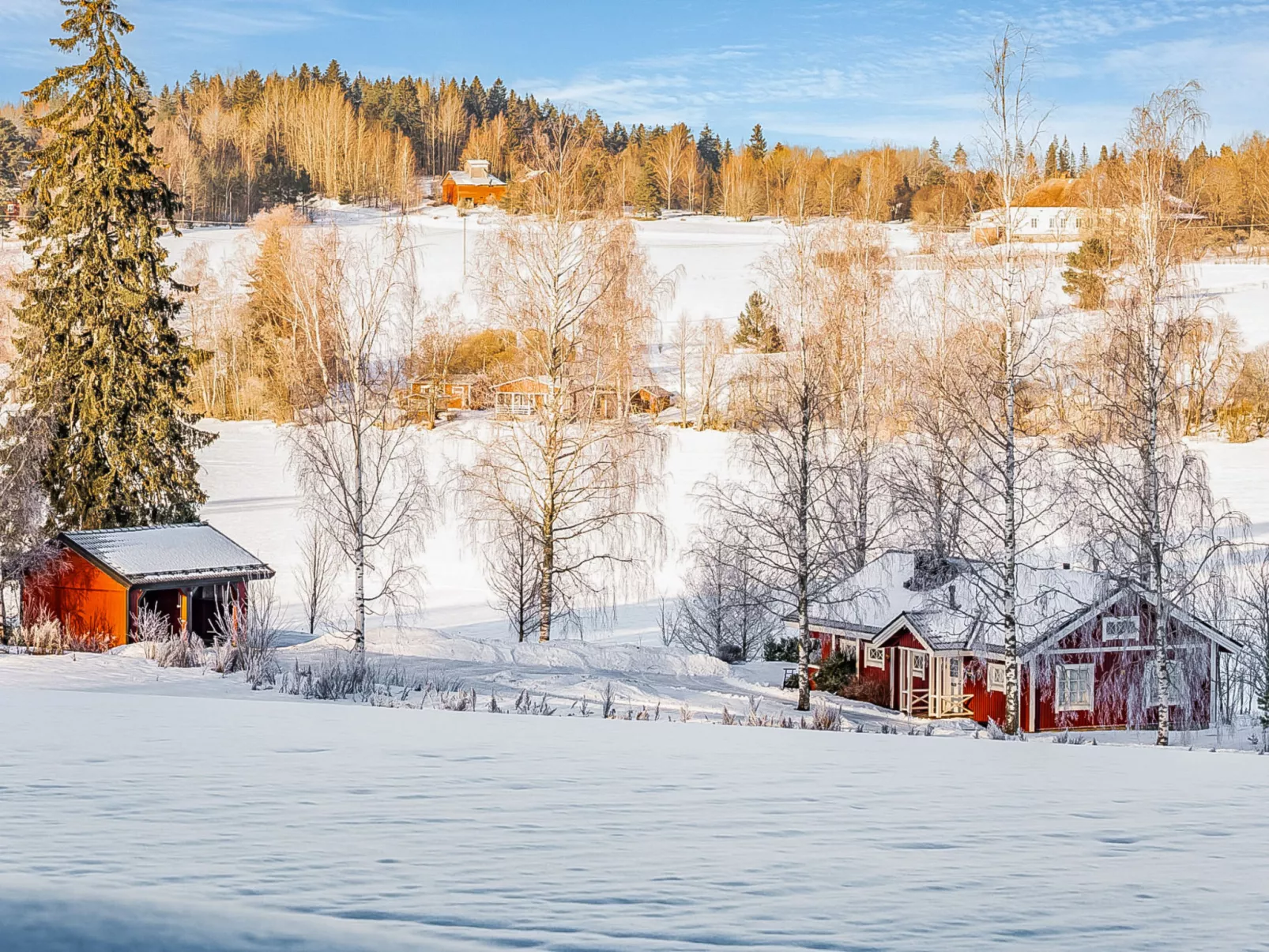 Peltosirkku - Binnen