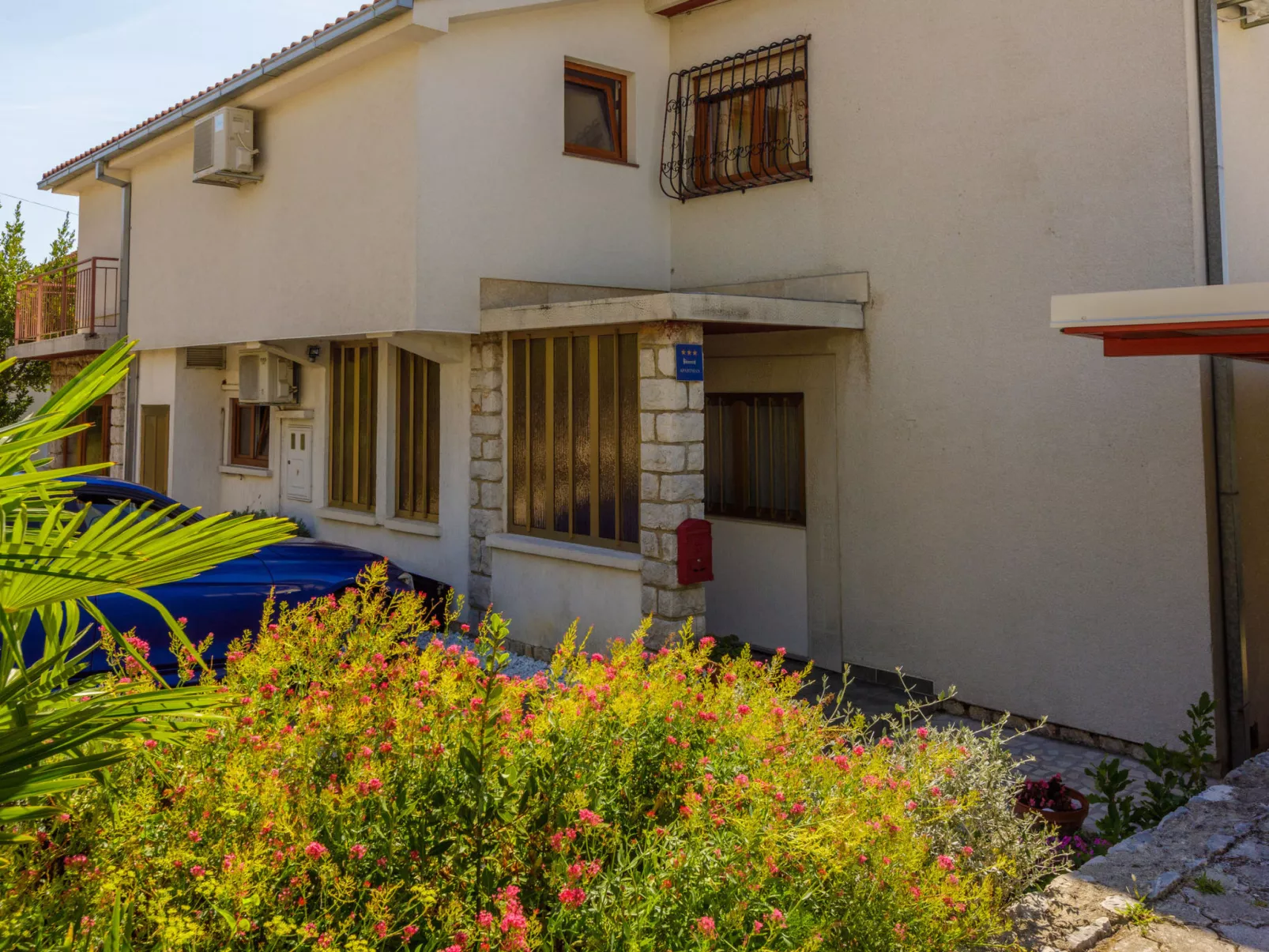 BUBA Dino / HR-08082-03