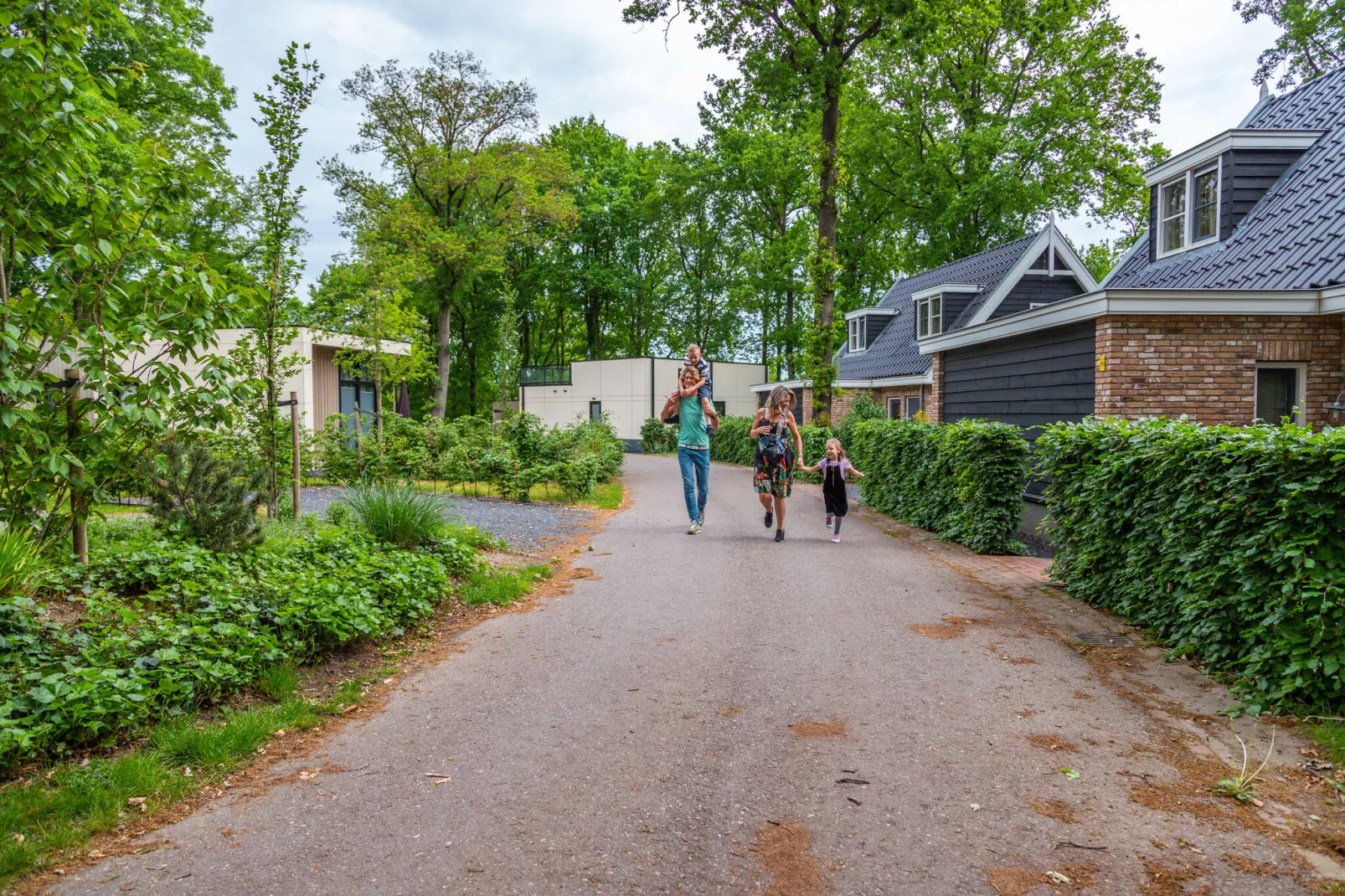 Resort Maasduinen 19-Gebieden zomer 1km