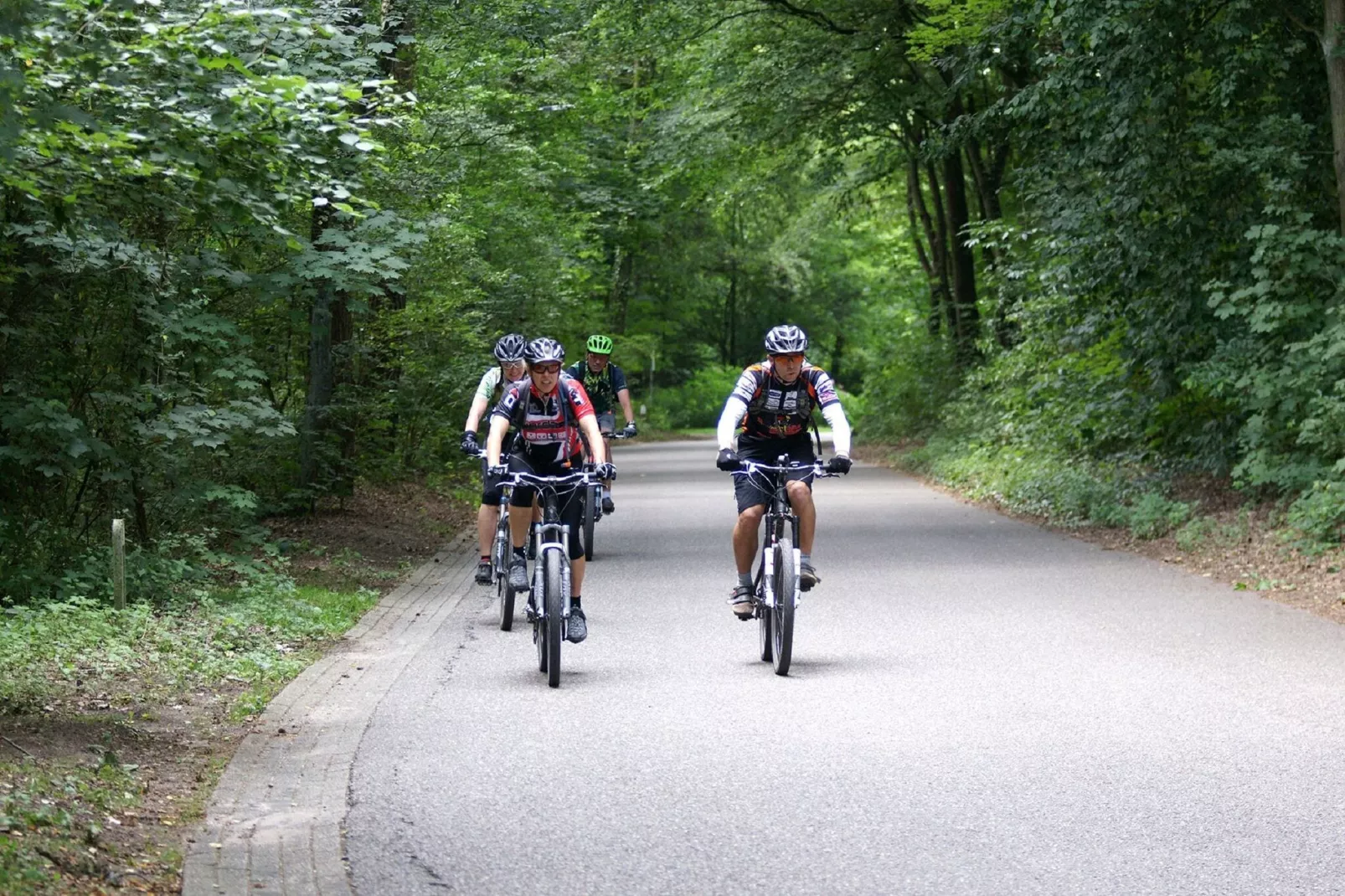 Resort Maasduinen 19-Gebieden zomer 5km