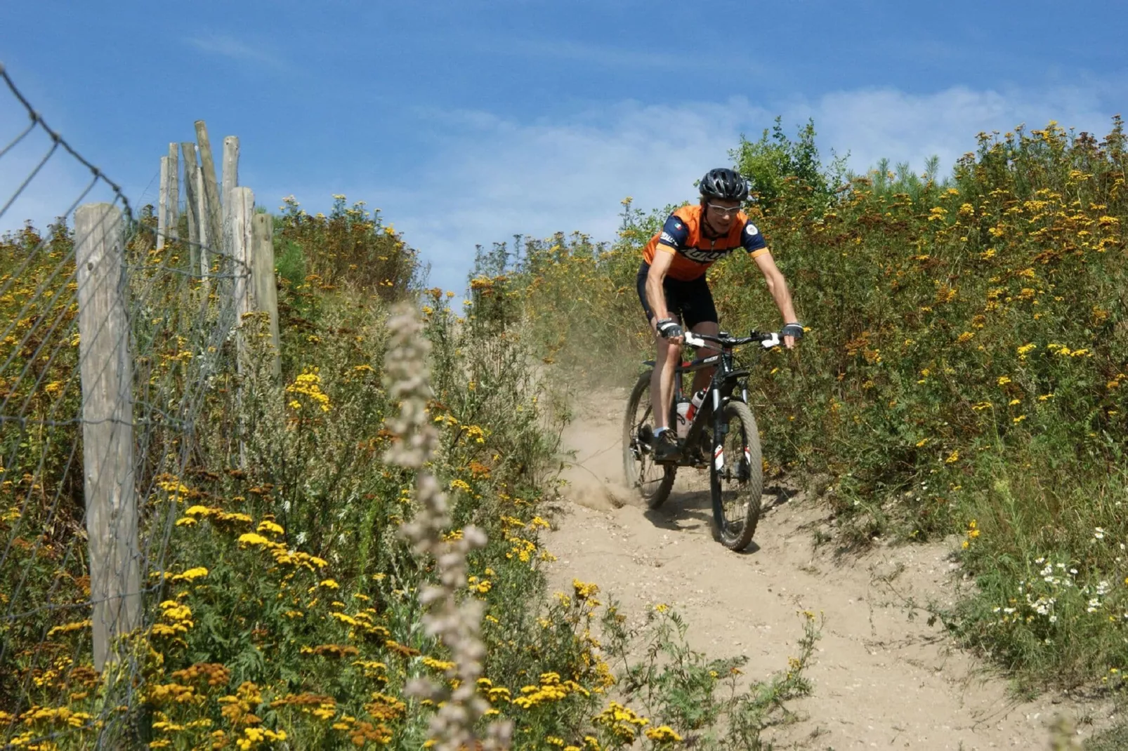 Resort Maasduinen 19-Gebieden zomer 5km