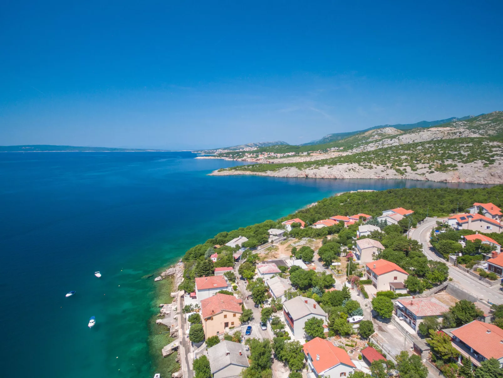 Cosic 2 Black & White / HR-09707-02