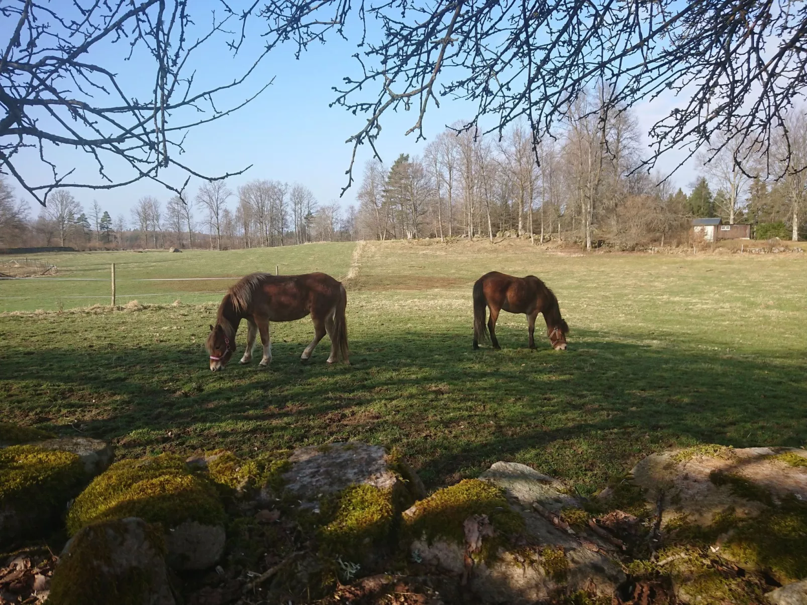 Gemütliches Cottage mit Whirlpool