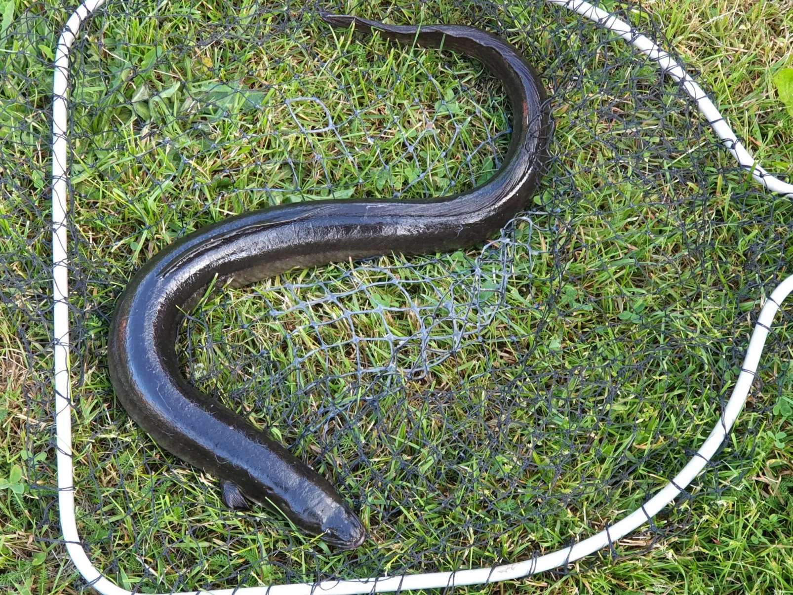 Cottage mit Whirlpool