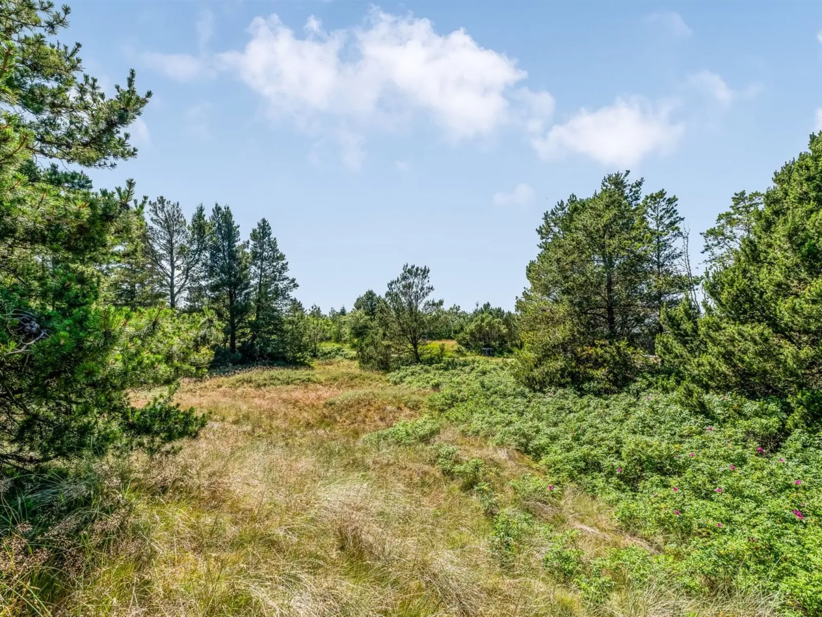 "Erle" - 990m from the sea