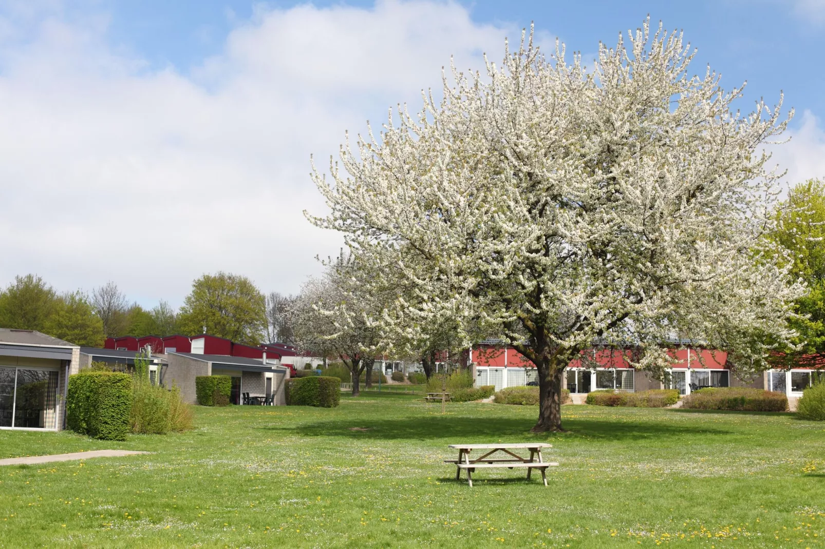 Bungalowpark Schin op Geul 3-Gebieden zomer 1km