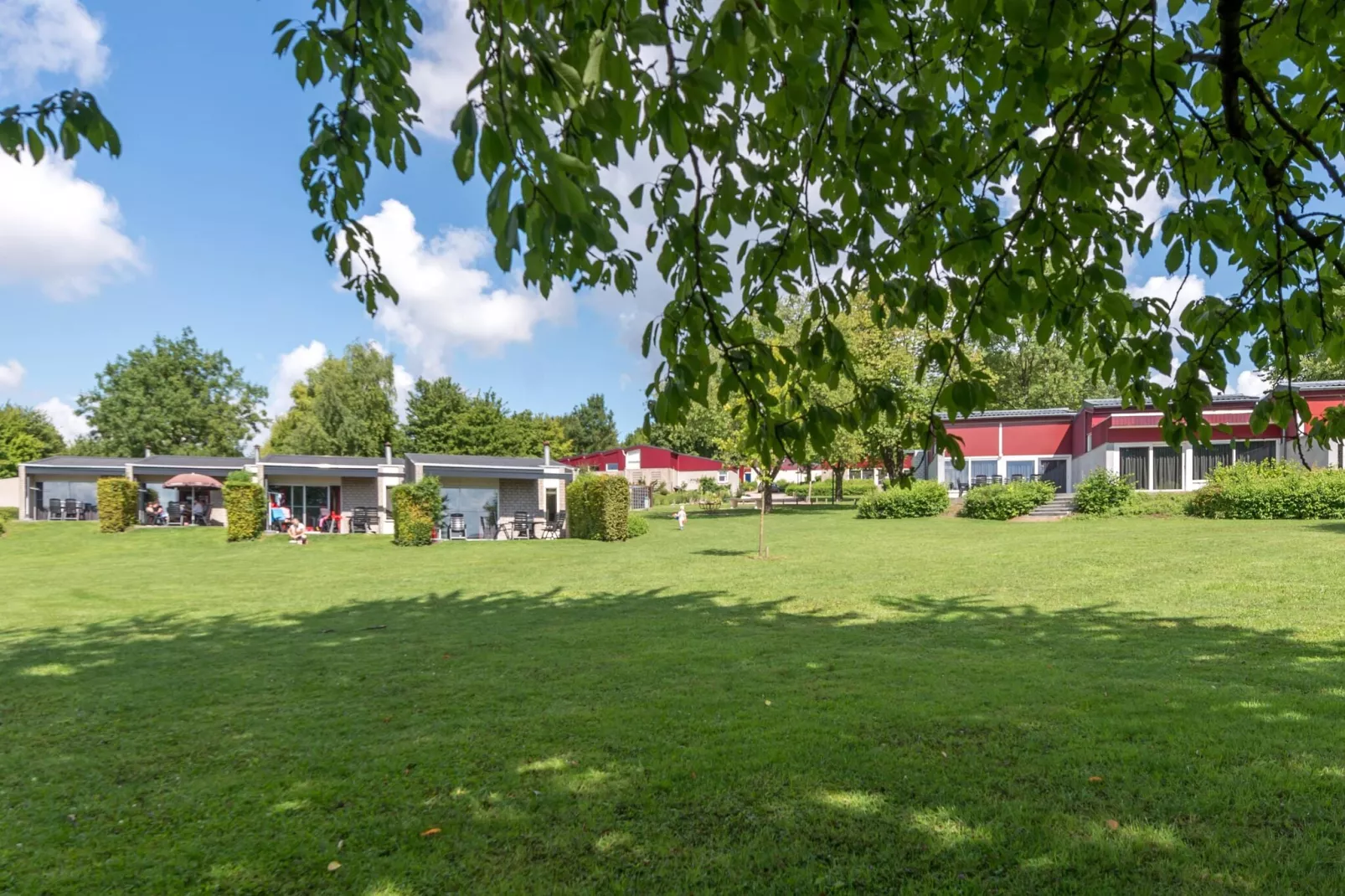 Bungalowpark Schin op Geul 6-Buitenkant zomer