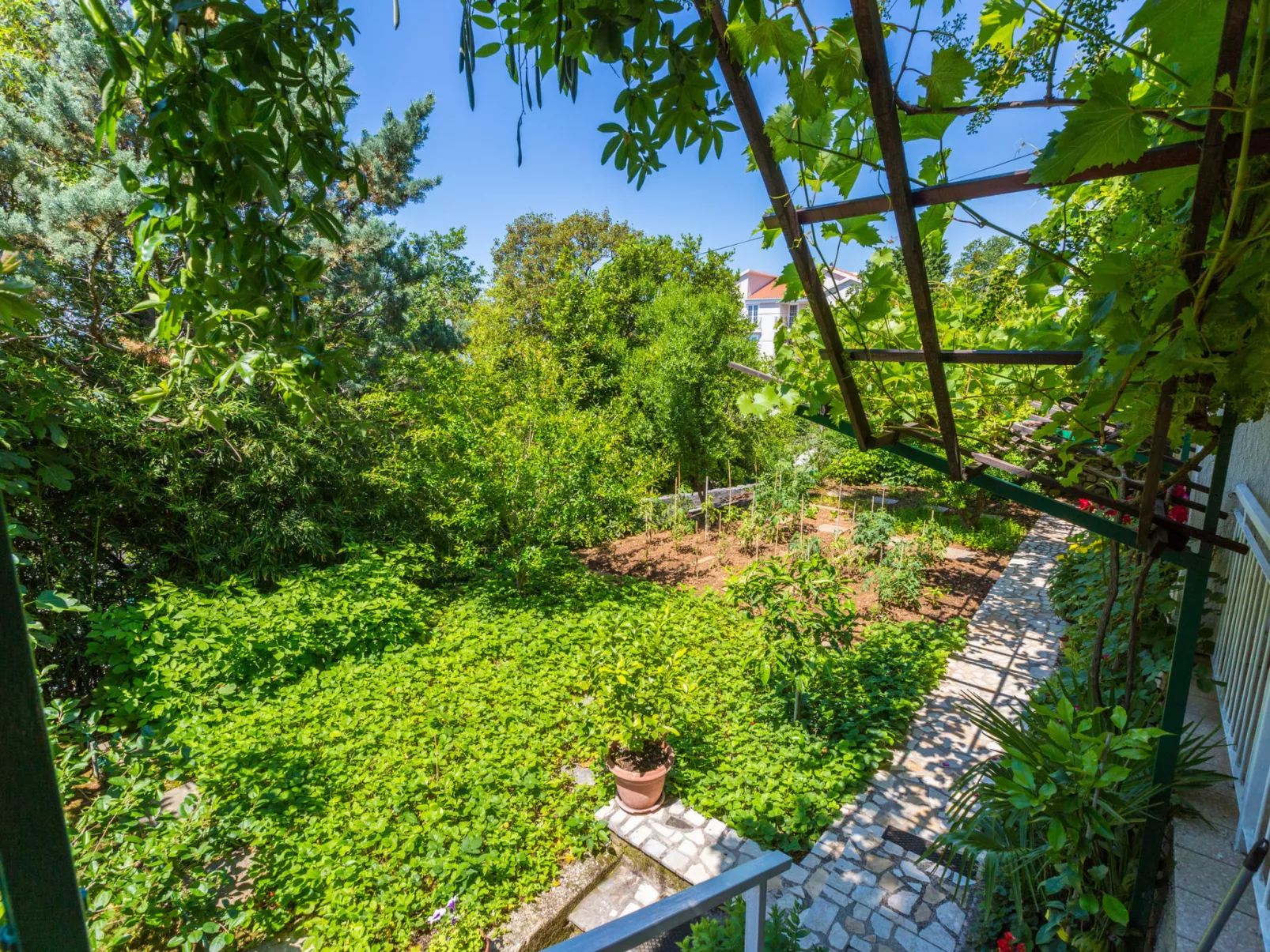 BELA 1 / HR-03564-01