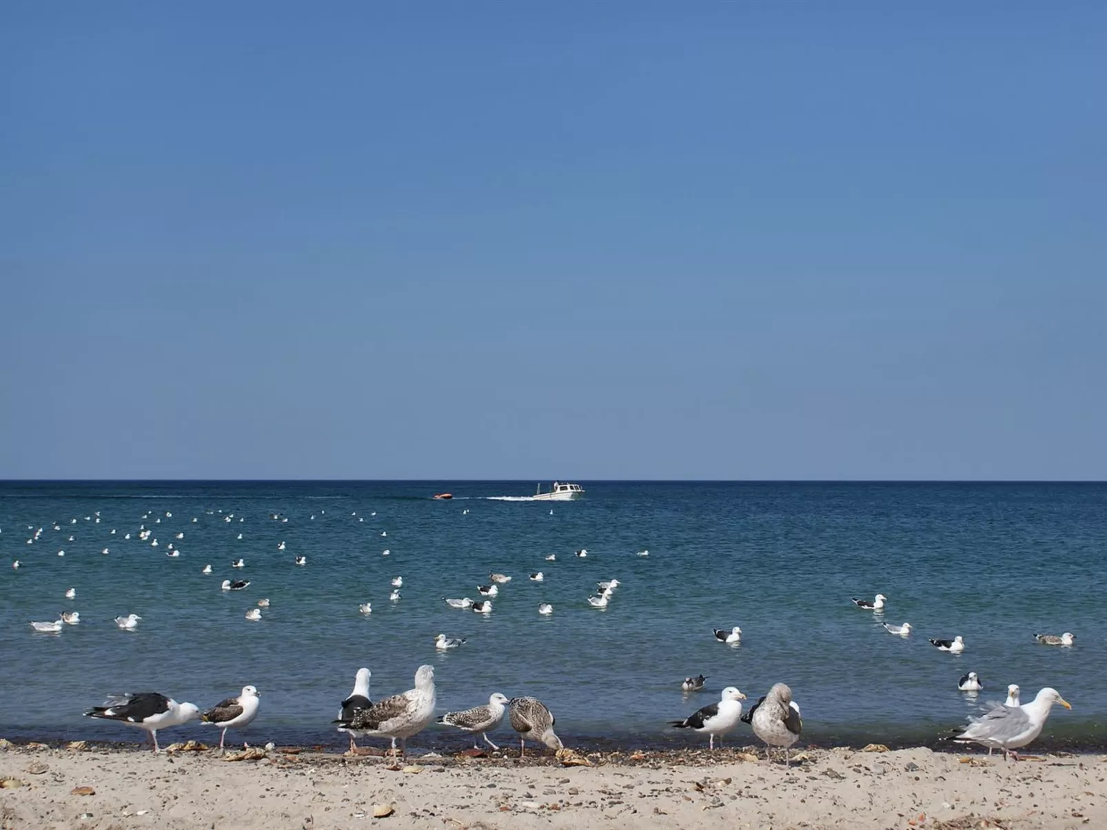 "Fani" - 200m from the sea