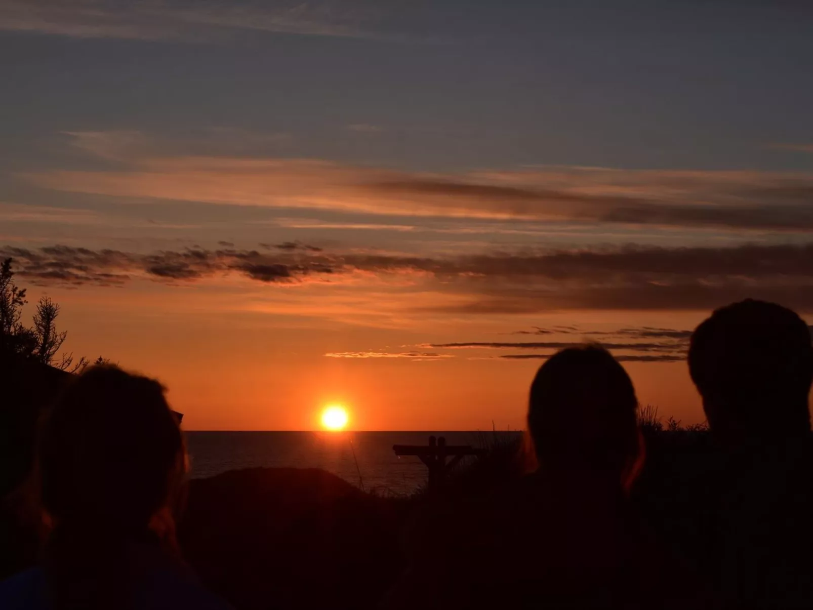 "Walderik" - 423m from the sea