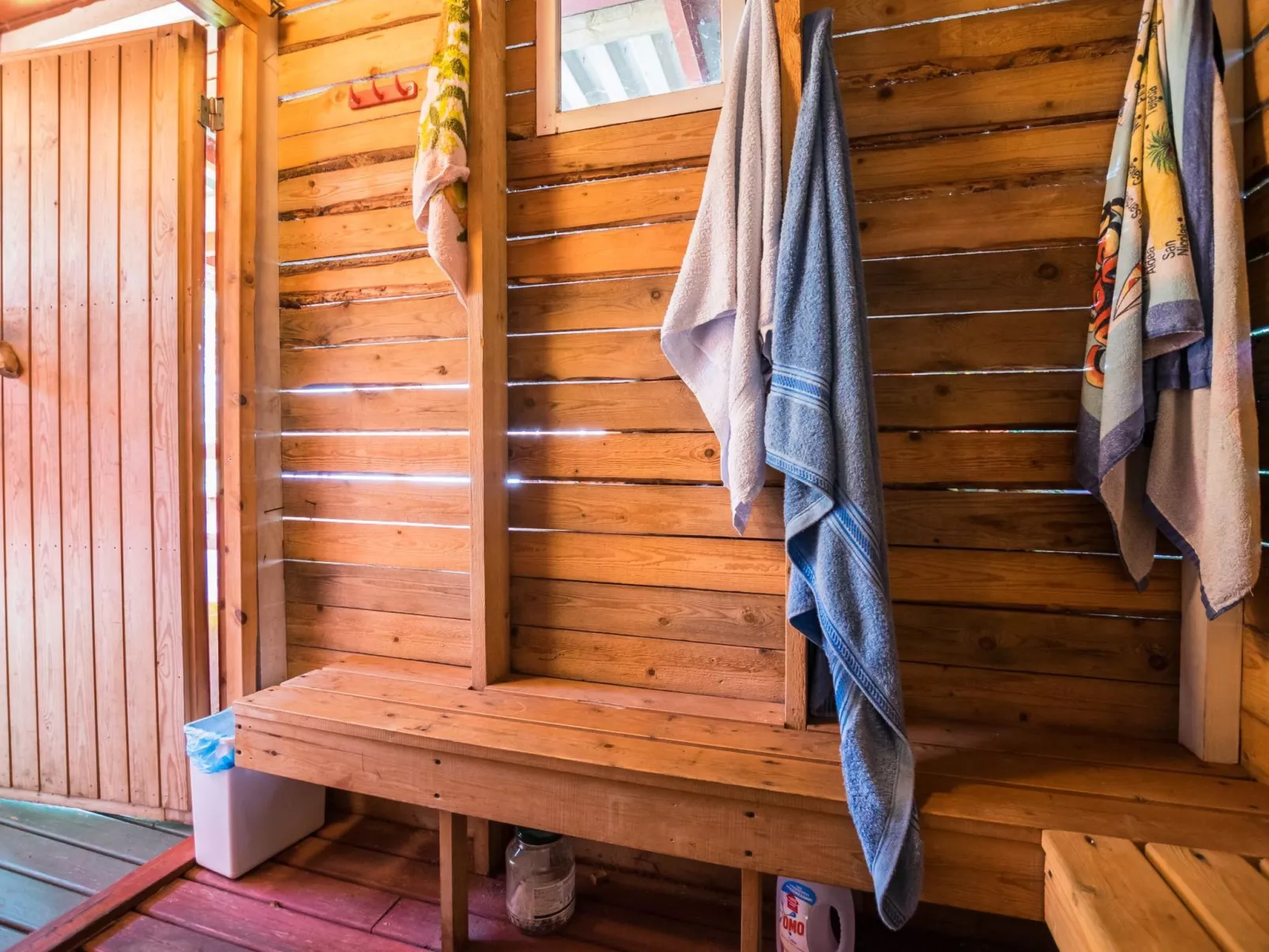 Saniainen 5 - Binnen