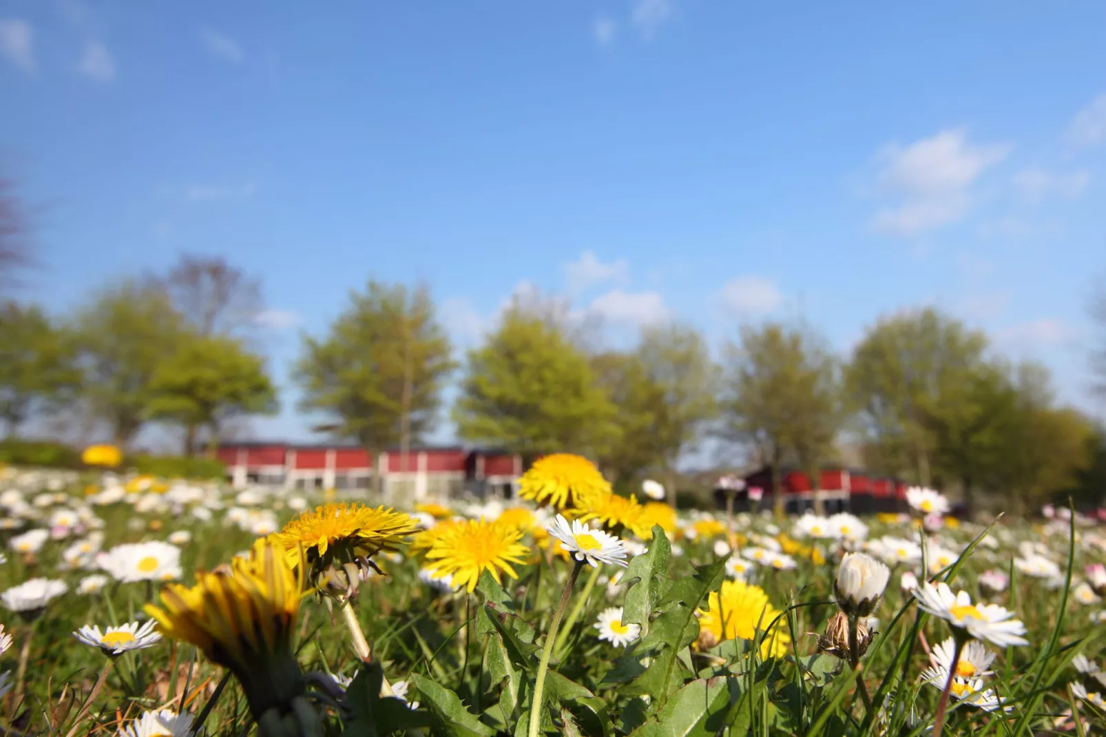 Bungalowpark Schin op Geul 14-Parkfaciliteiten