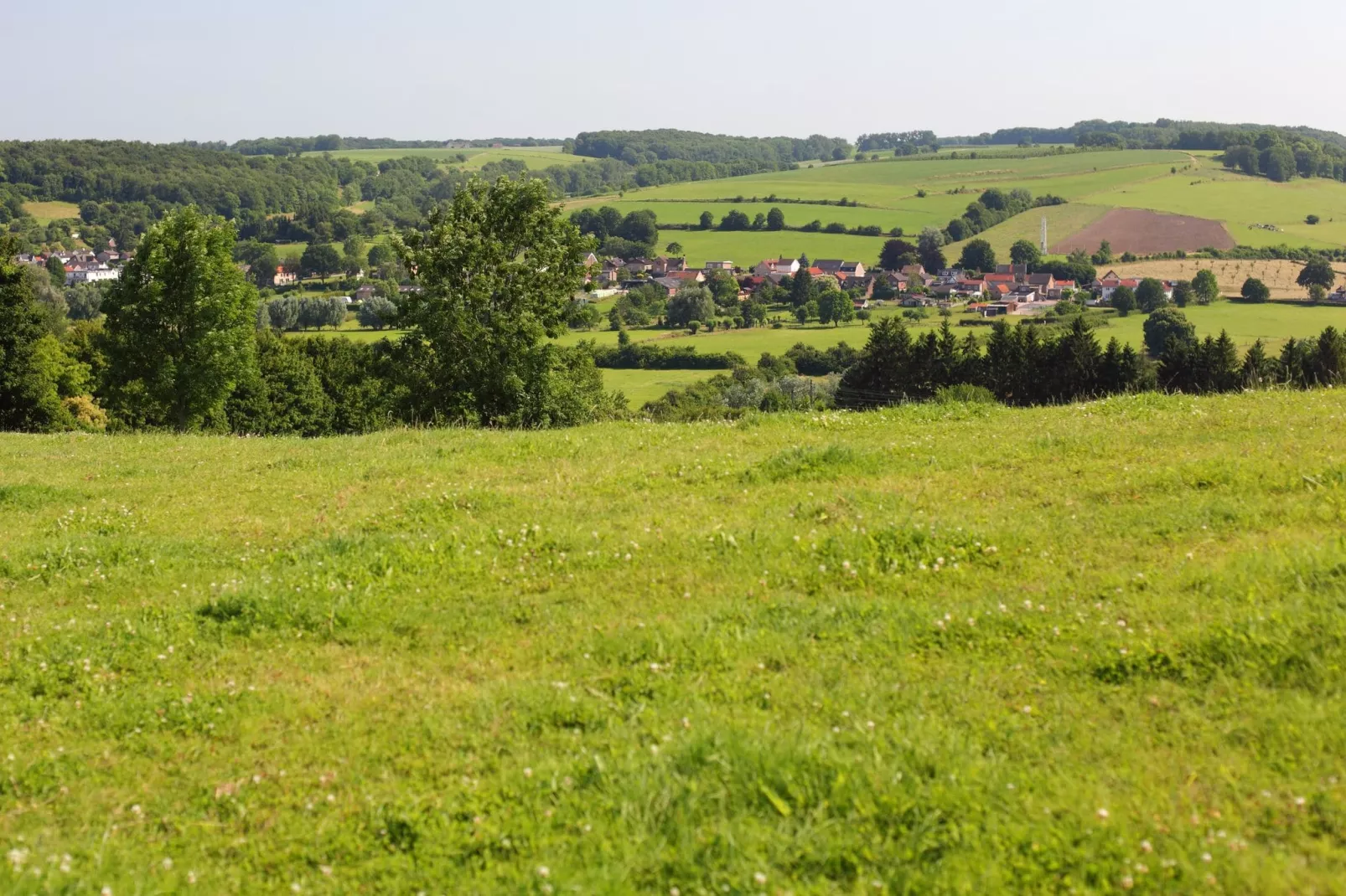 Bungalowpark Schin op Geul 14-Gebieden zomer 1km