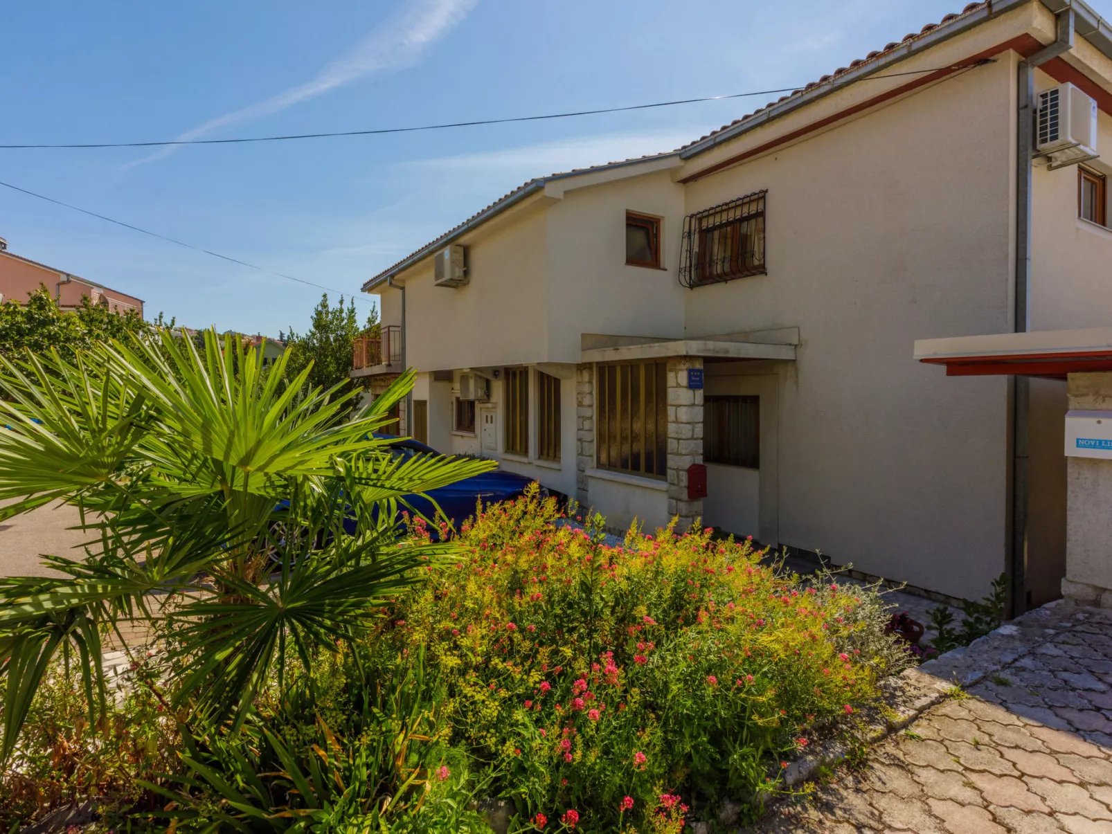 BUBA Dino / HR-08082-03