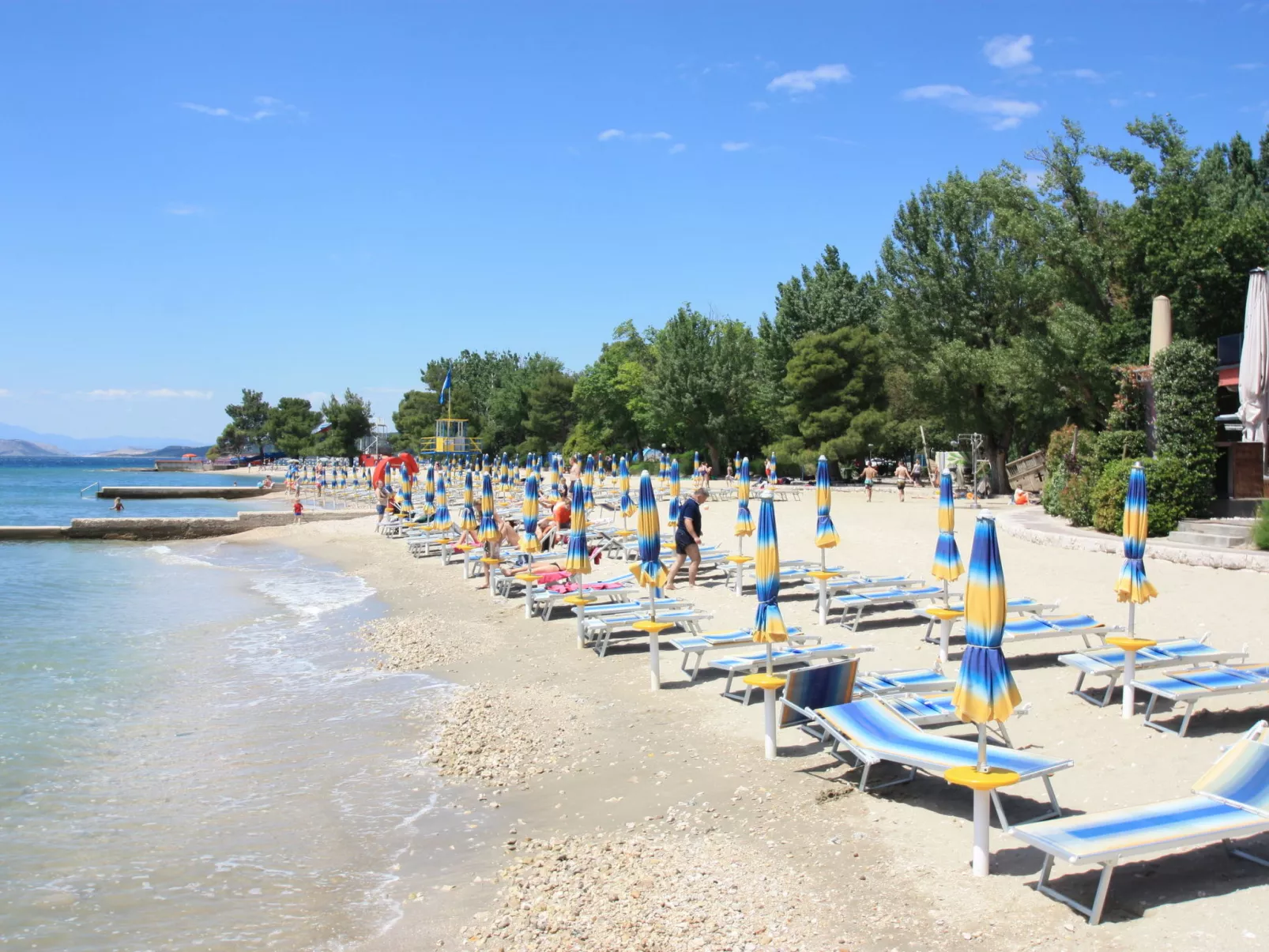 ARBORETUM 4 / HR-09911-02