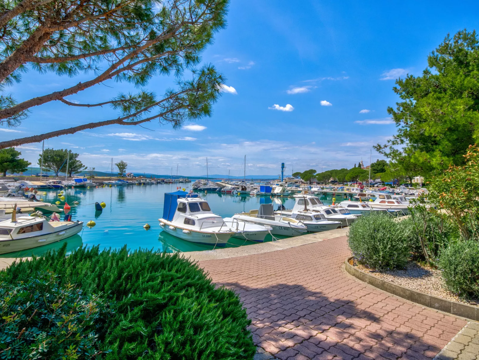 NOLA H / HR-09404-01