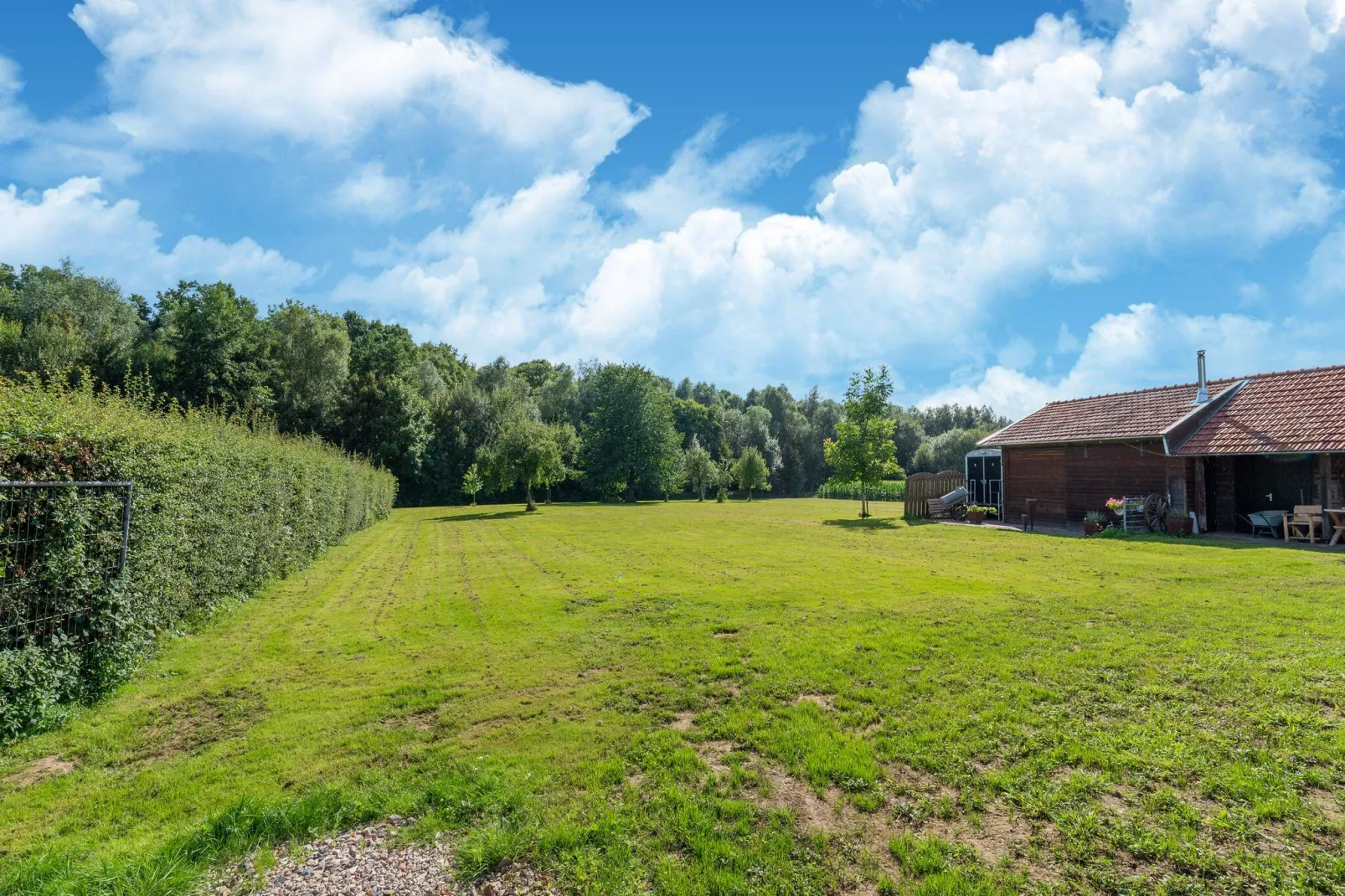 Bie Leentje on the meadow-Tuinen zomer