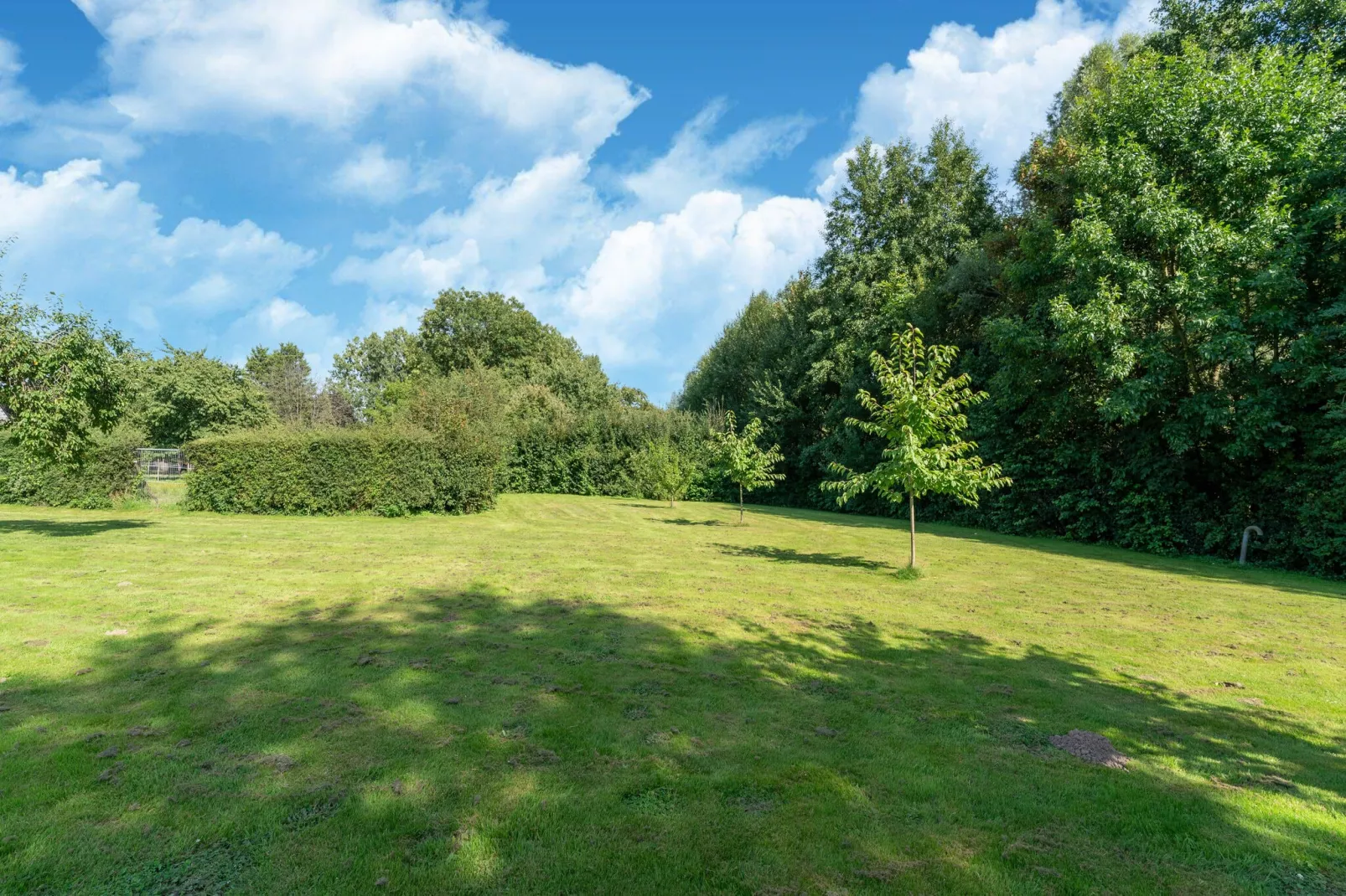 Bie Leentje on the meadow-Uitzicht zomer