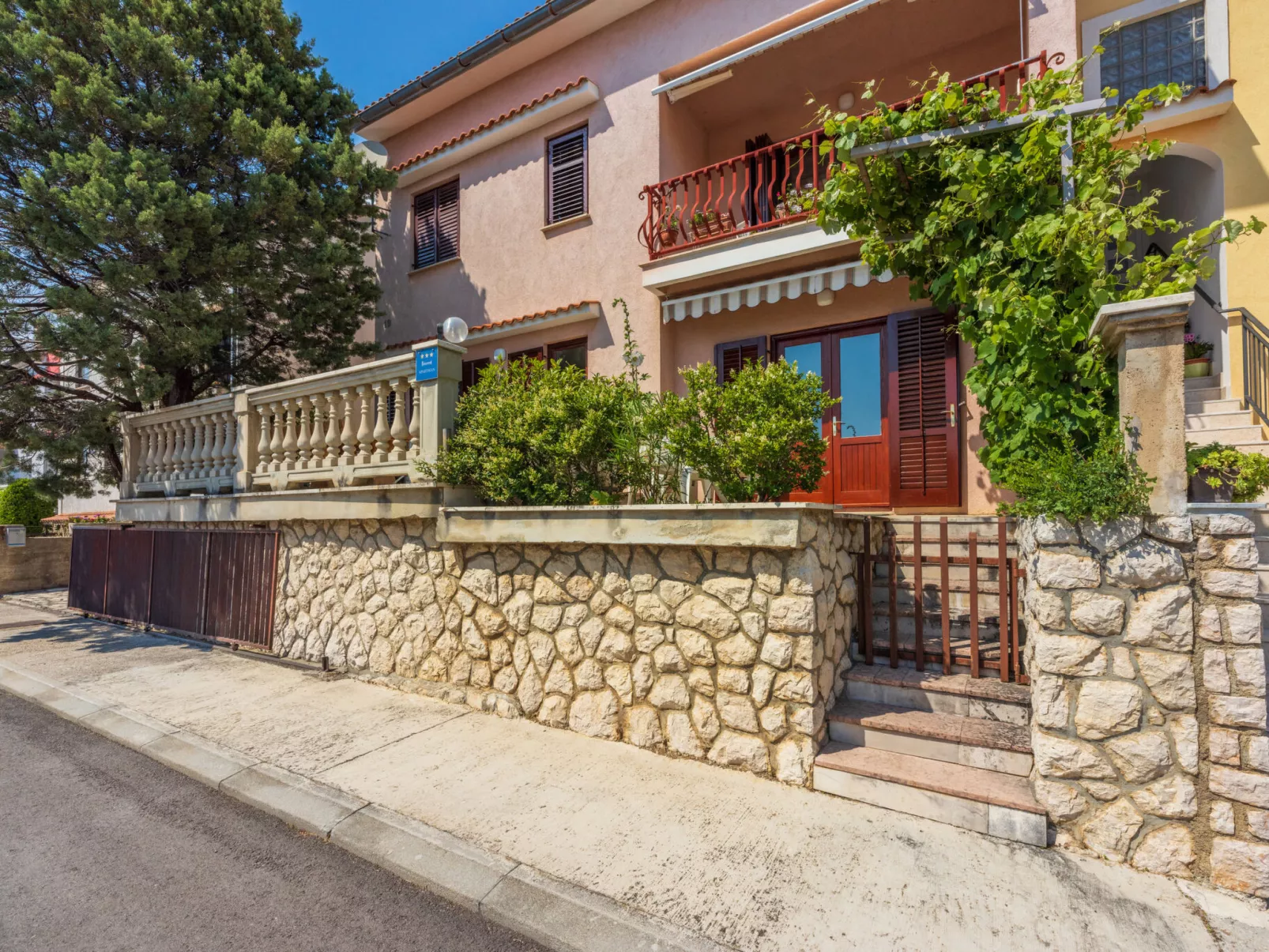 Agava veliki / HR-11139-02