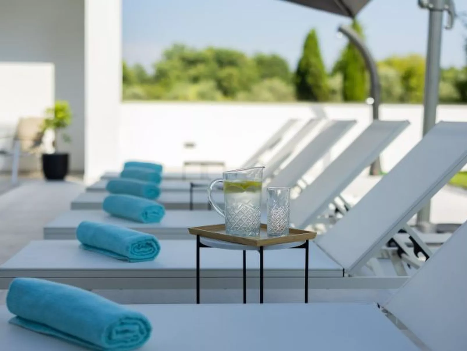 Villa Elena with two pools and spa