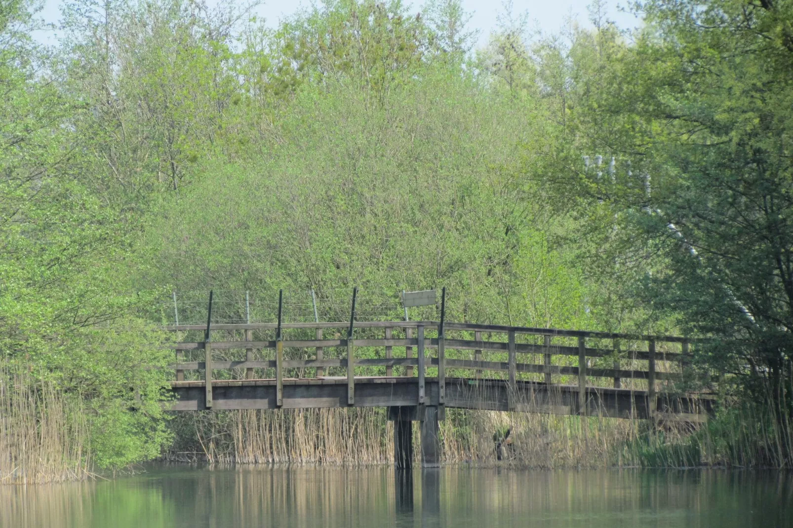 Vakantiepark 't Broeckhuys 1-Gebieden zomer 1km