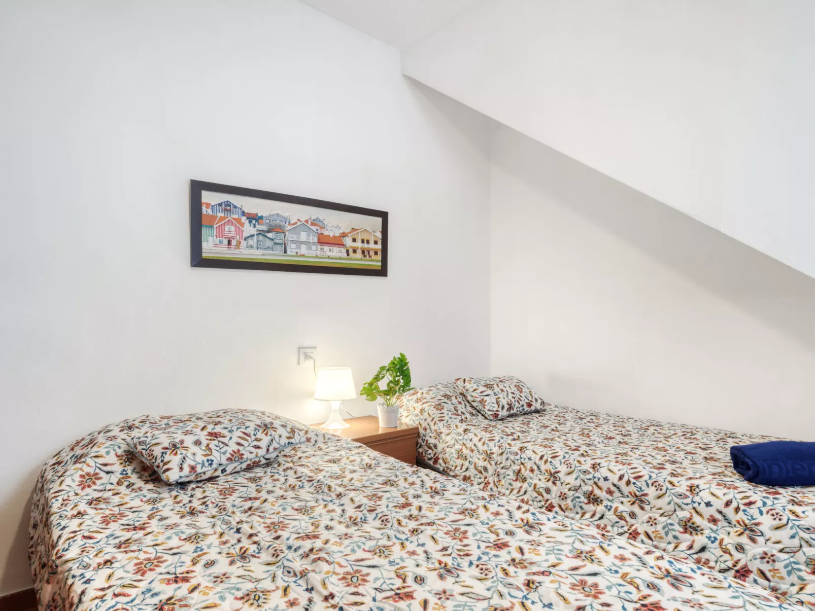 Centro peatonal Roses