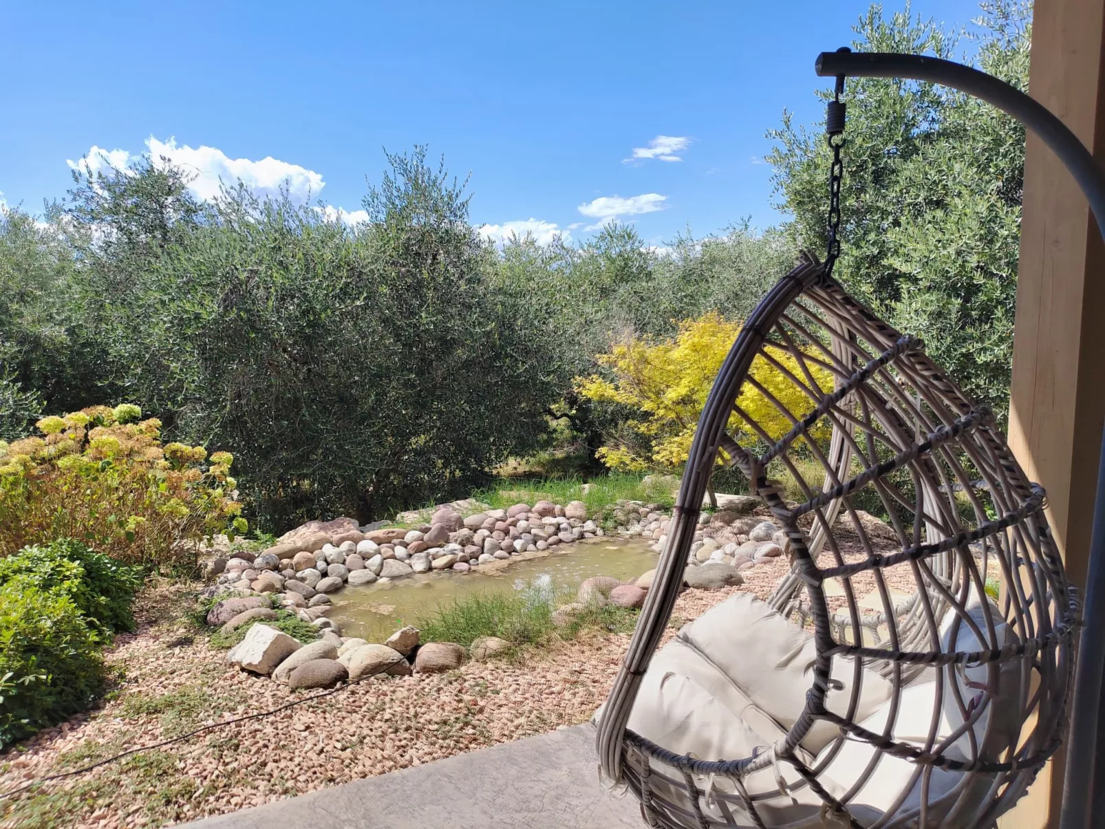 In einem spektakulären Olivenhain in einer ruhig