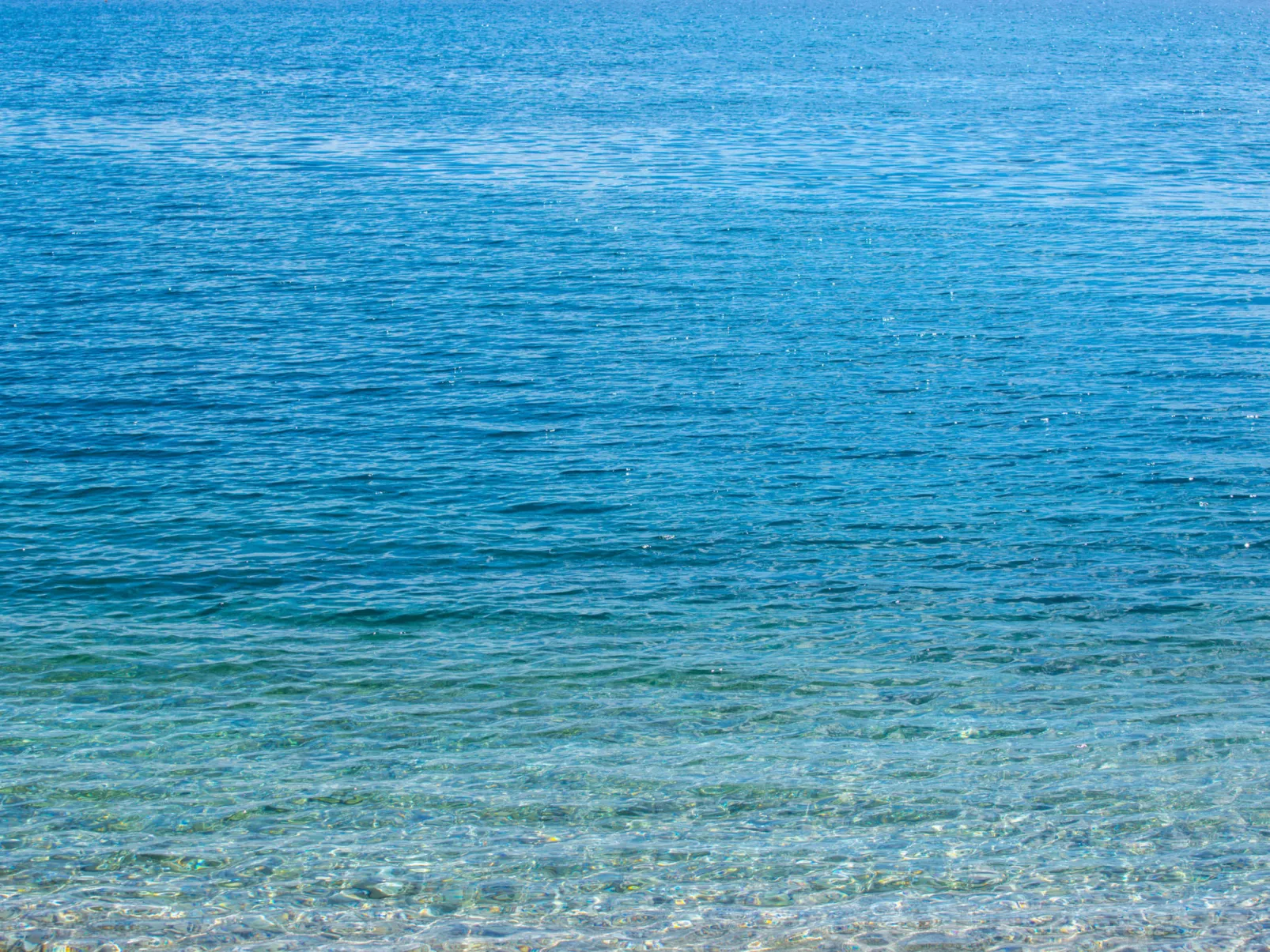 NOVOSELIC 2 CH / HR-02246-02