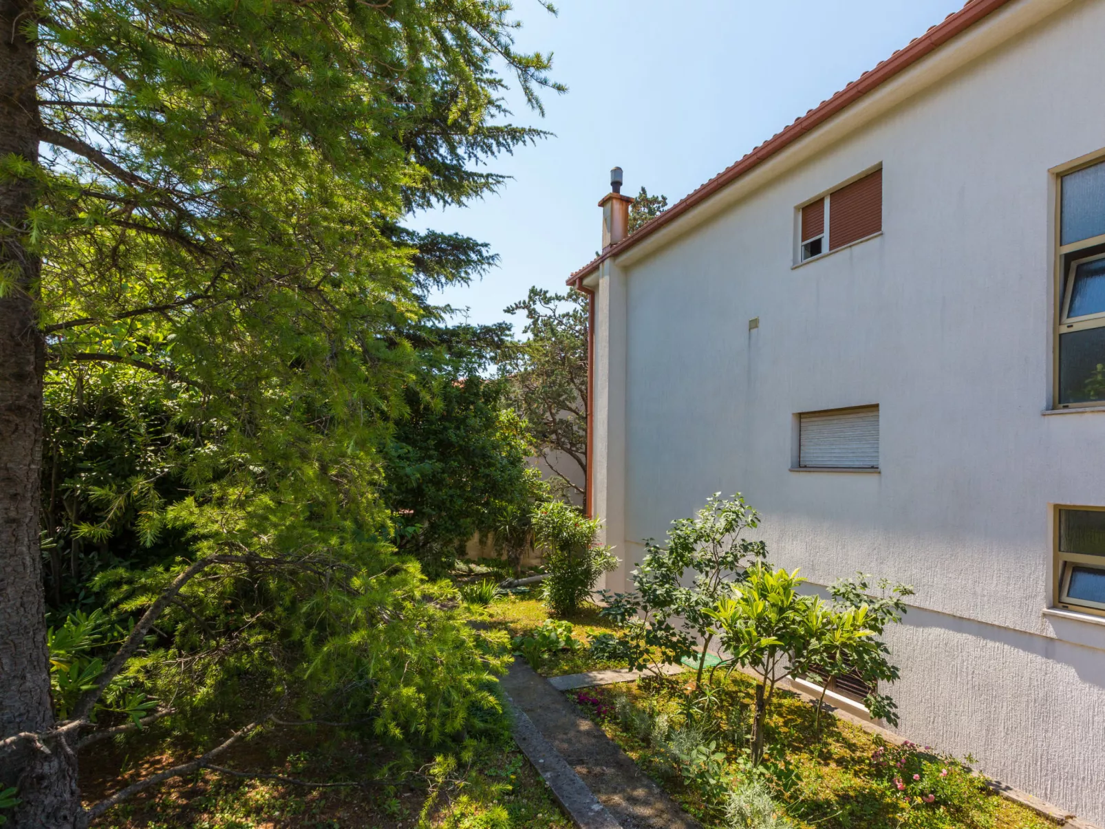 BELA 1 / HR-03564-01