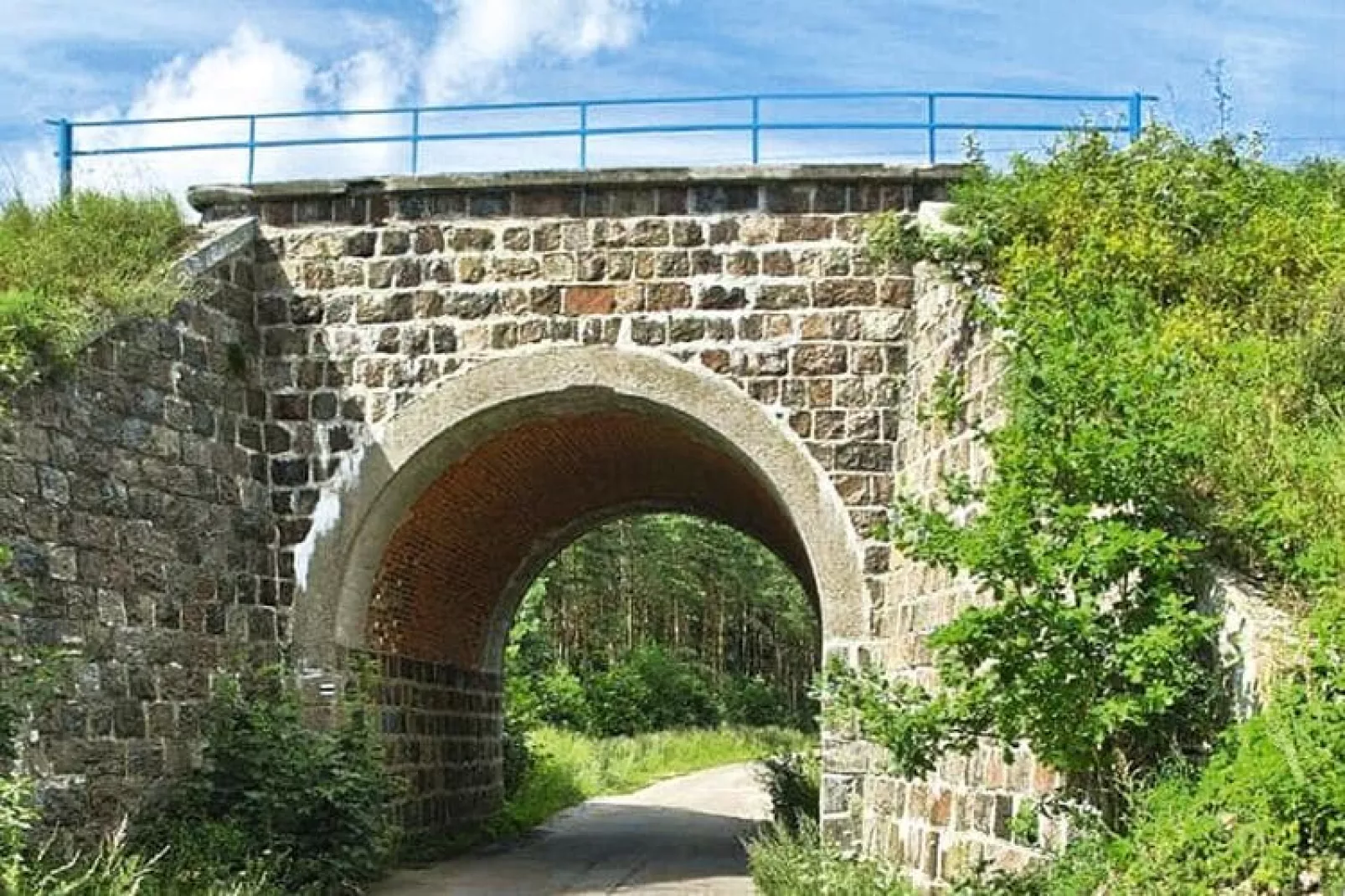 Domek letniskowy Dąbrowica-Buitenkant zomer