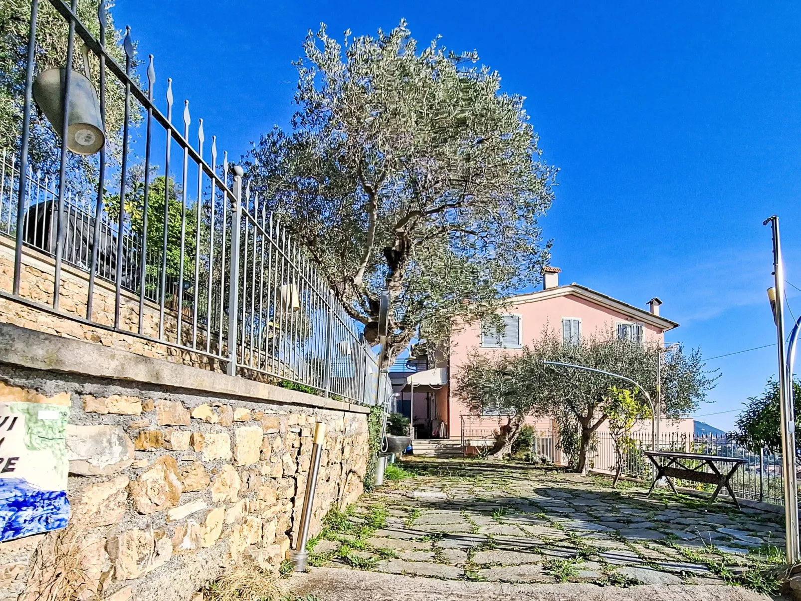 Ulivi sul Mare - Buiten