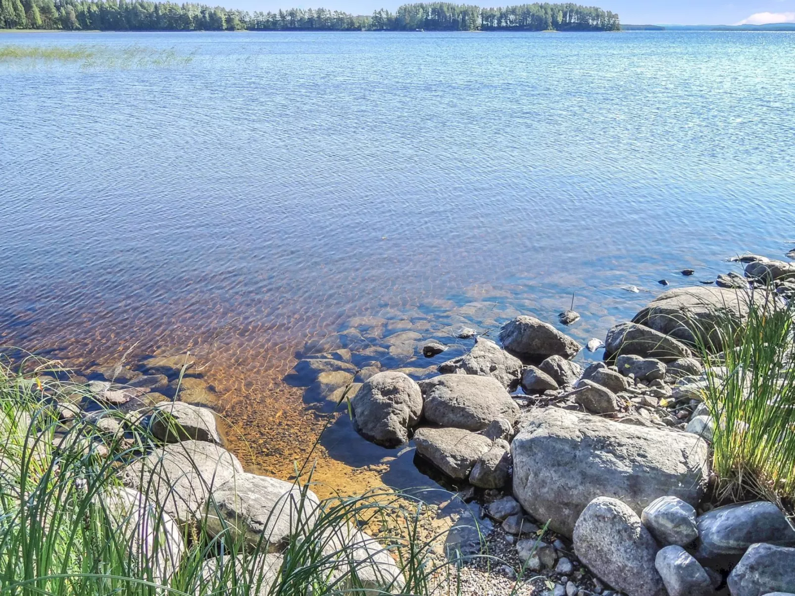 Kolin mesikämmen - Binnen