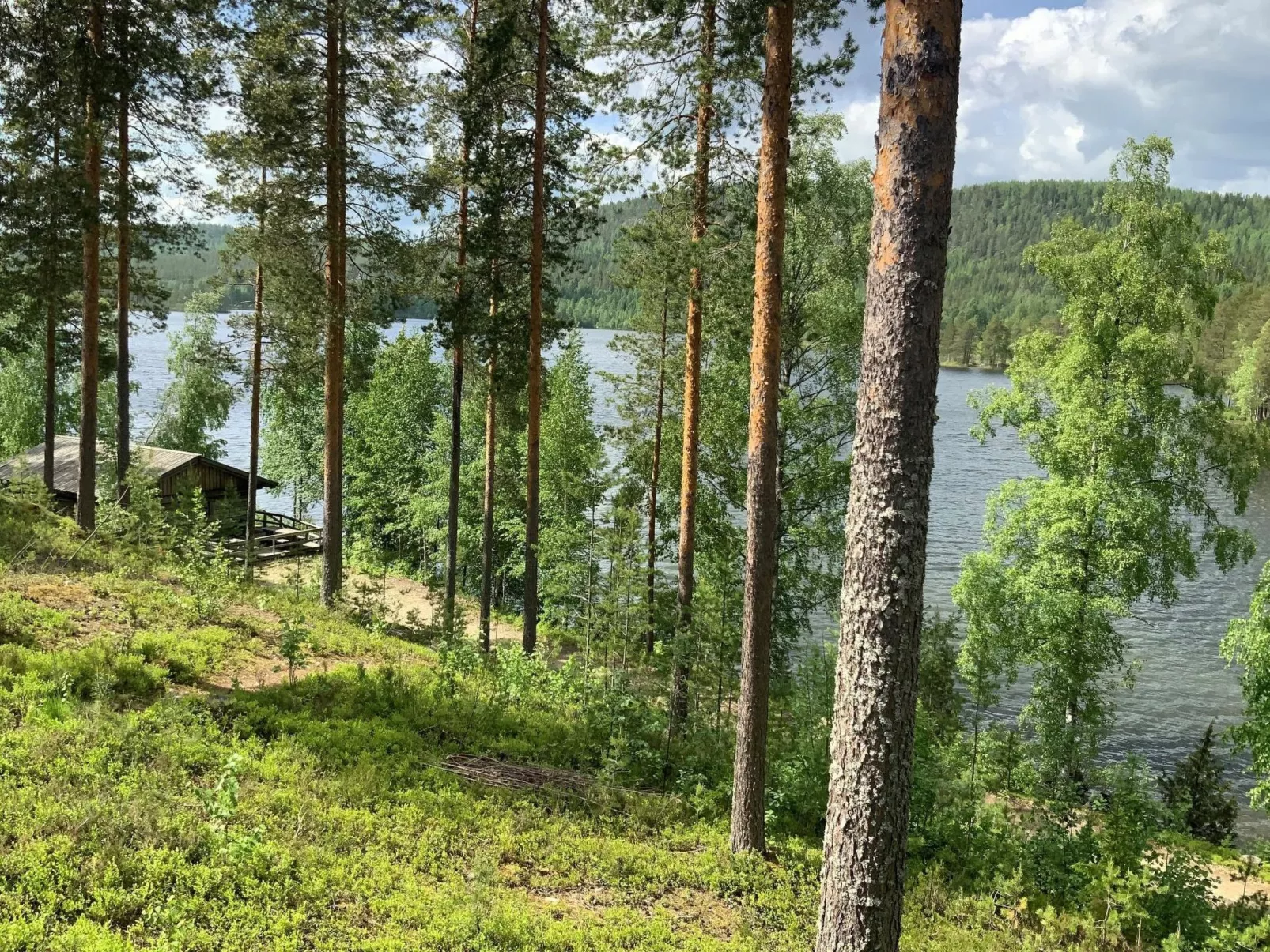 Saunaharju 5 - Binnen