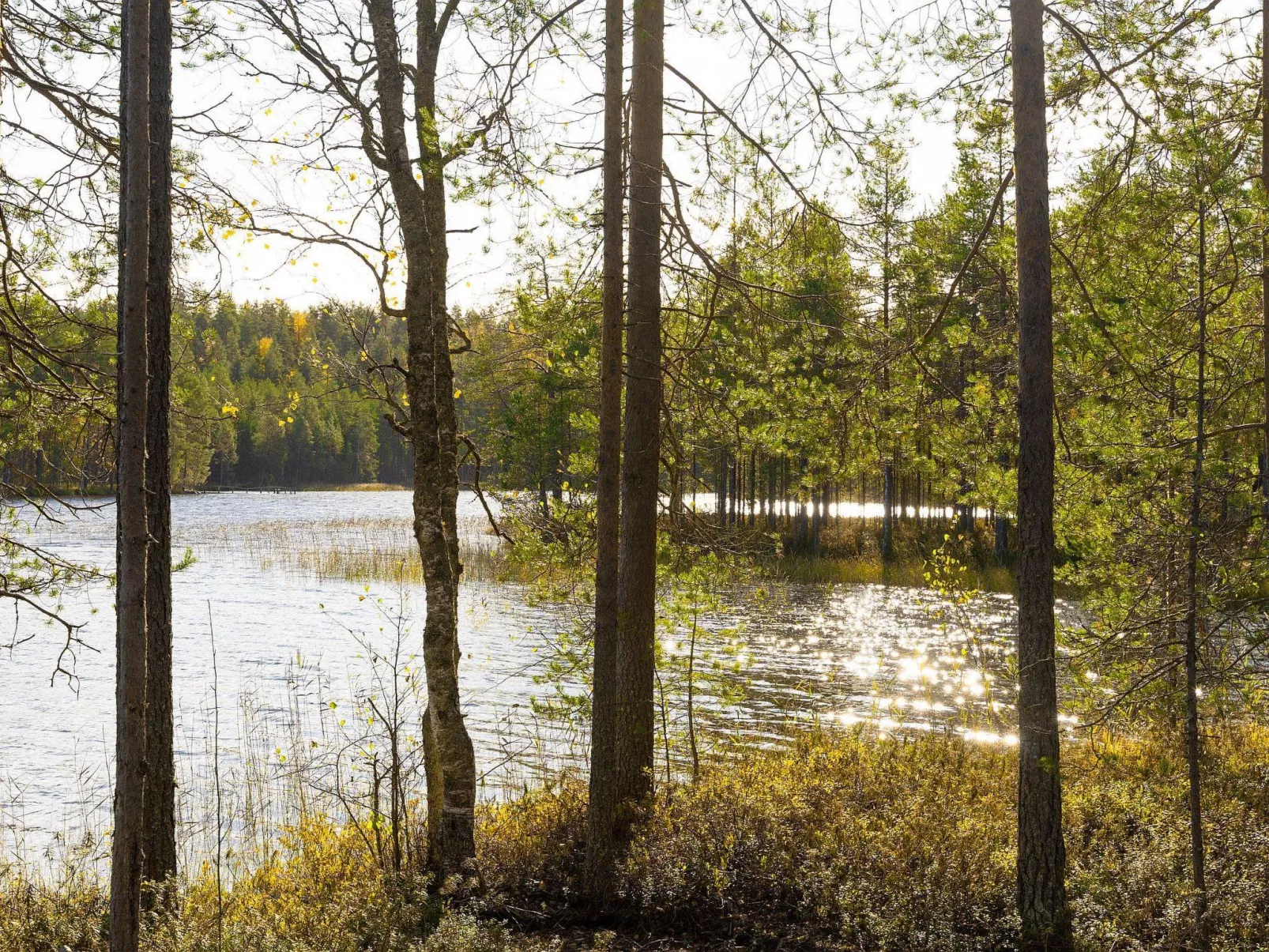 Villa käpytikka - Binnen