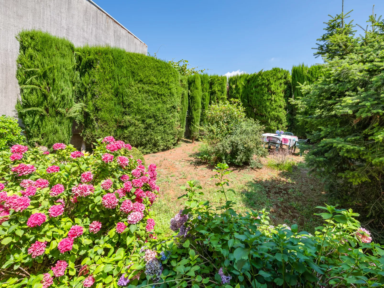 Apartment 1699 - Image-tags.info