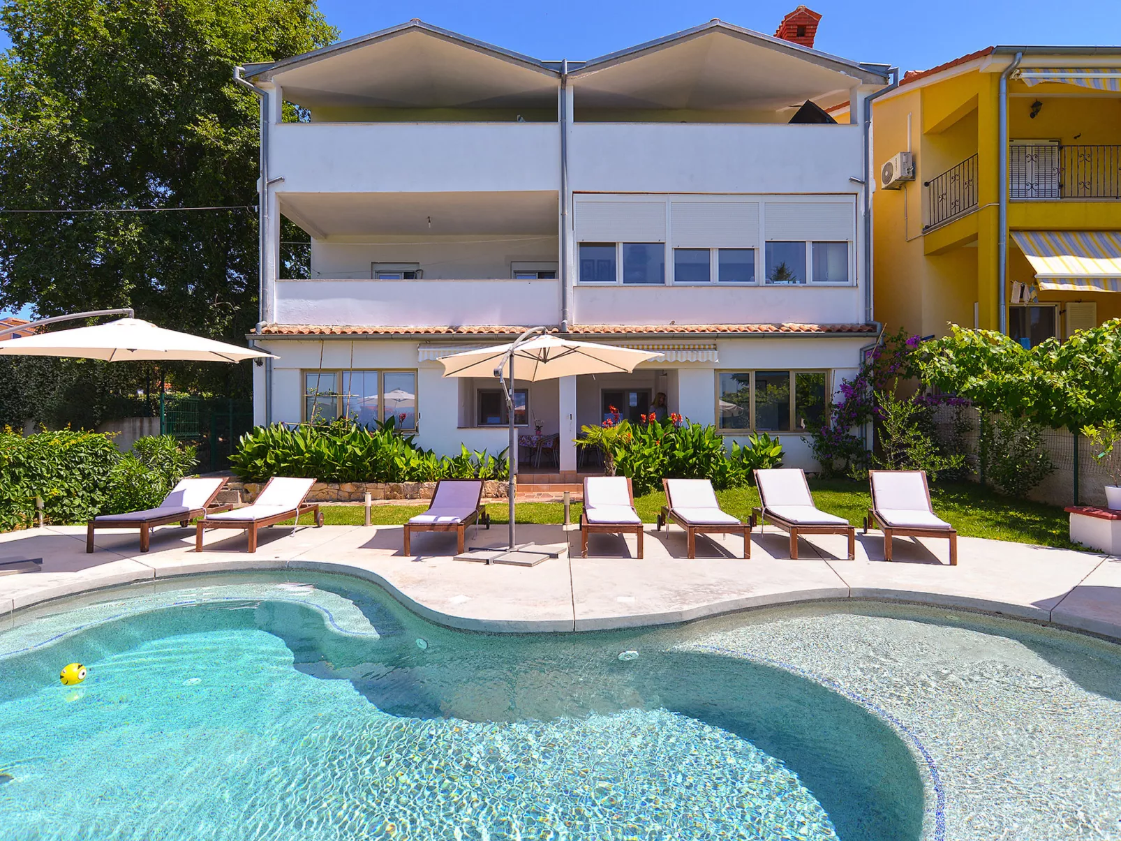 Apartment 31 - Image-tags.info