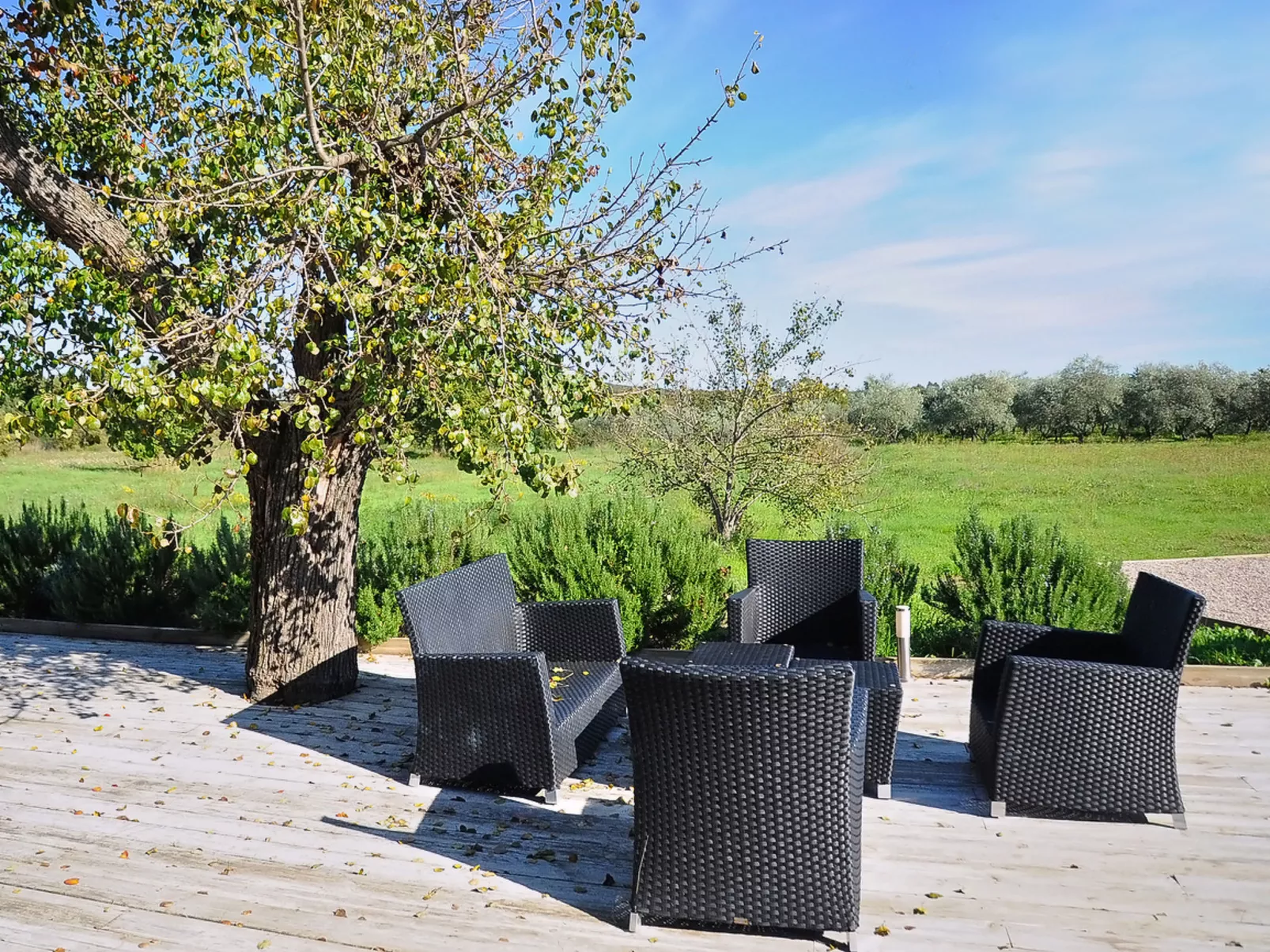 Villa Mojito - Buiten