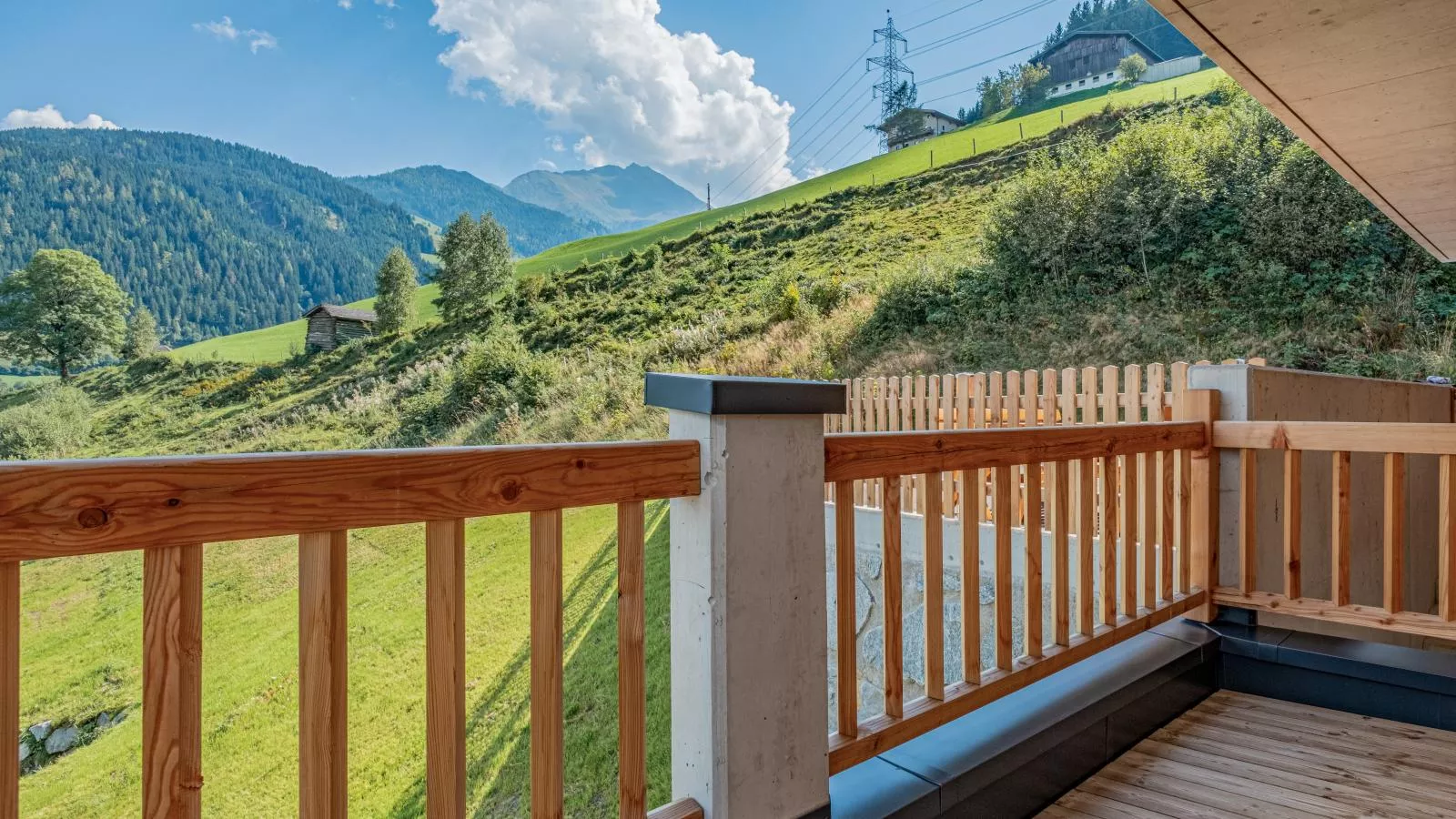 Blick ins Salzachtal-Uitzicht zomer