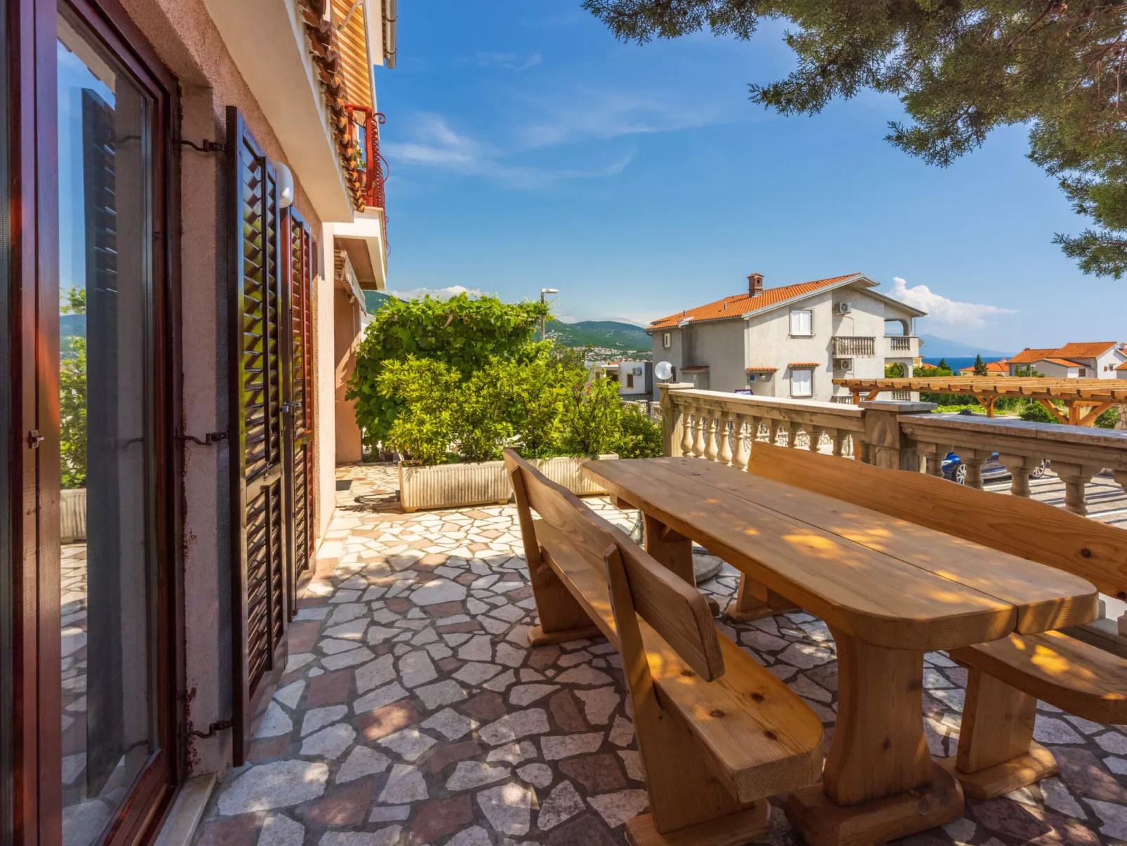 Agava veliki / HR-11139-02 - Image-tags.info