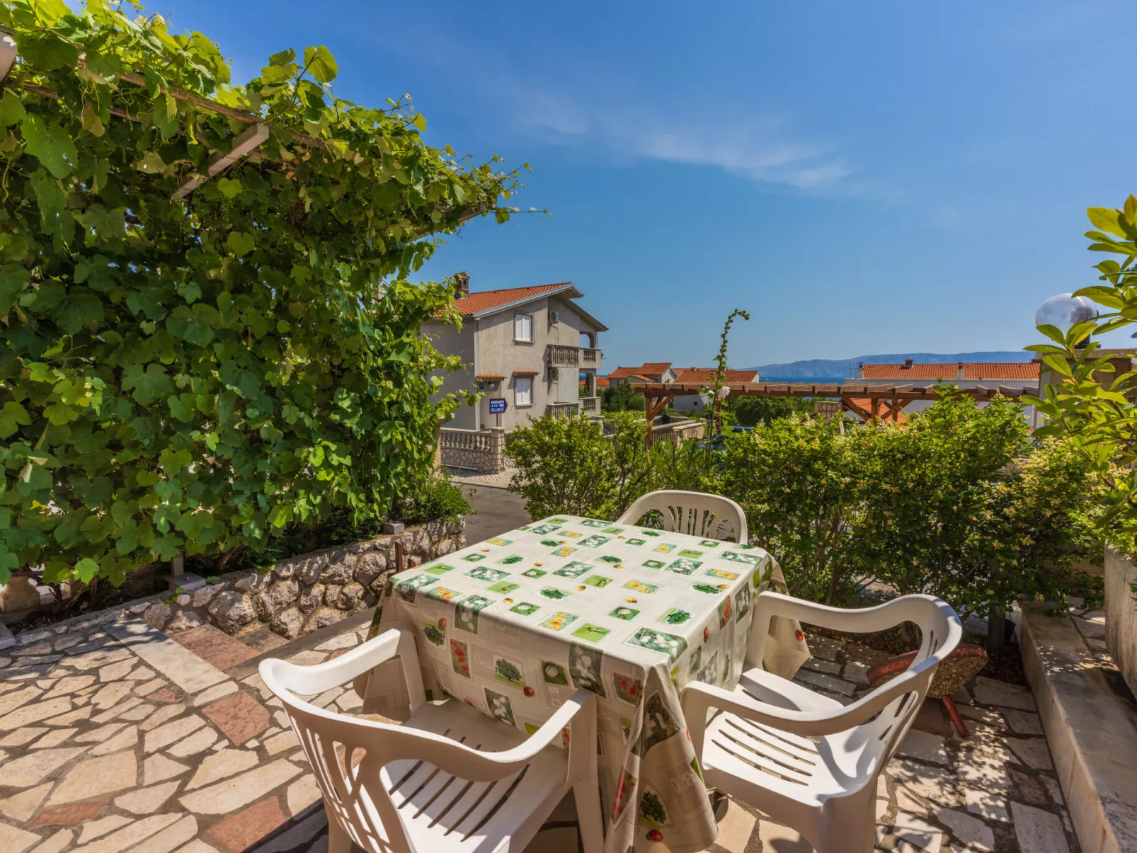 Agava mali / HR-11139-01 - Image-tags.info