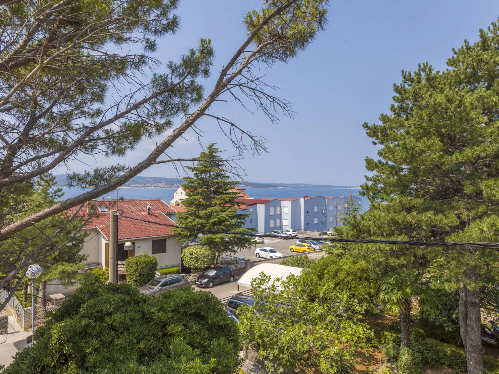 KOTVICA / HR-10106-01 - Image-tags.info