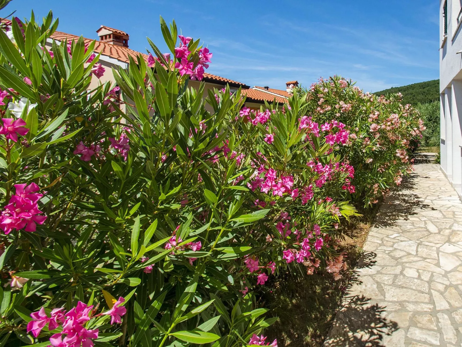 Apartment 2024 - Buiten