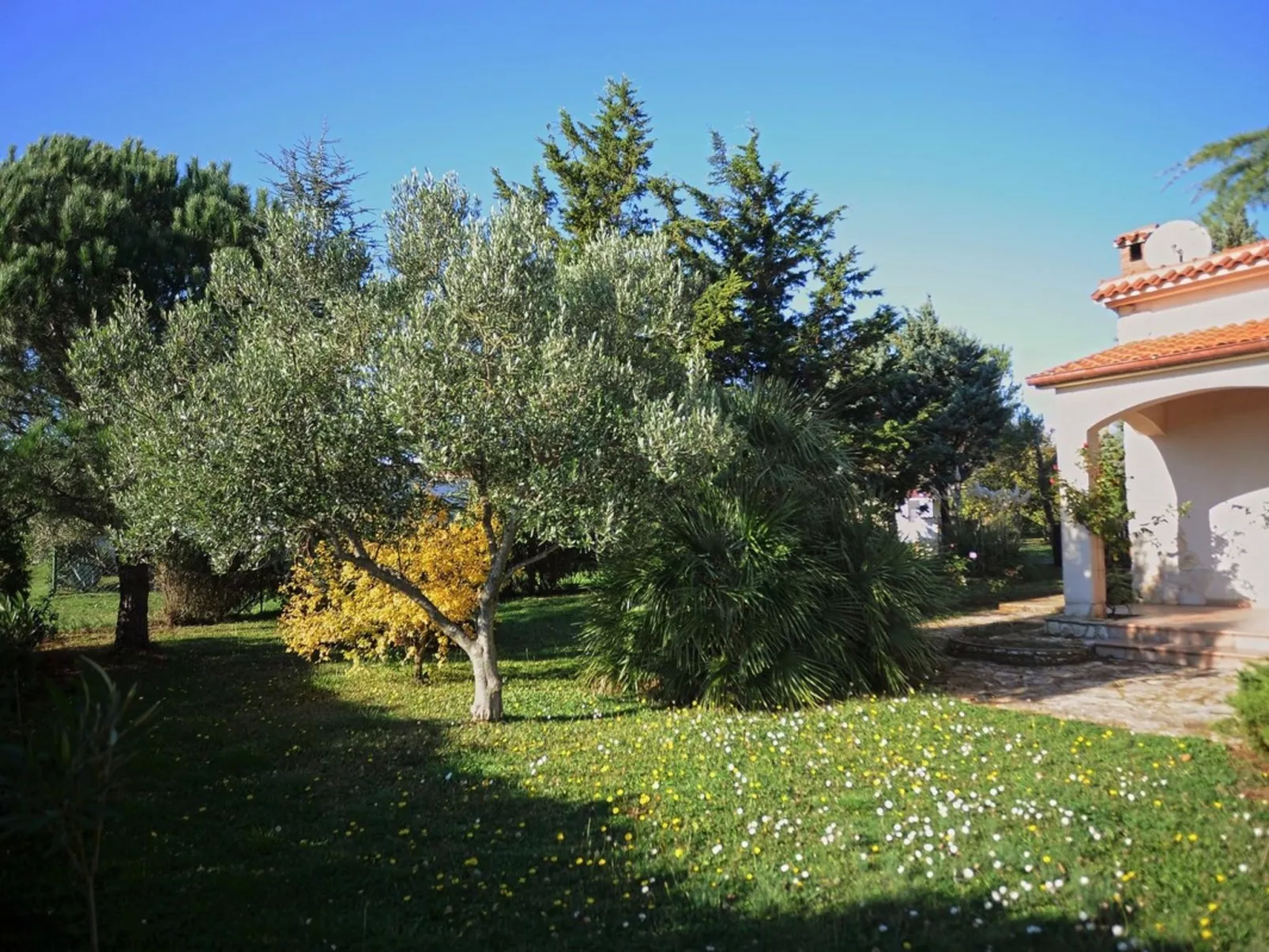 Ondina - Image-tags.info