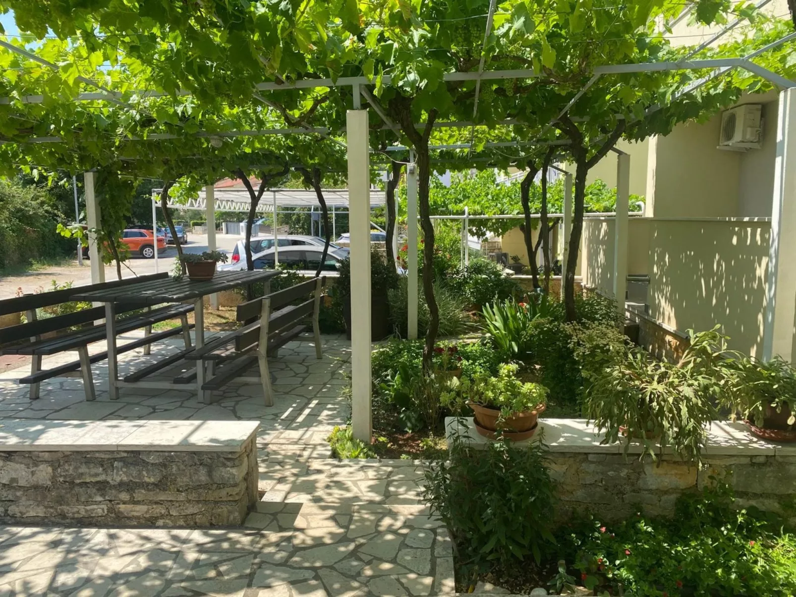 Dragica - Image-tags.info