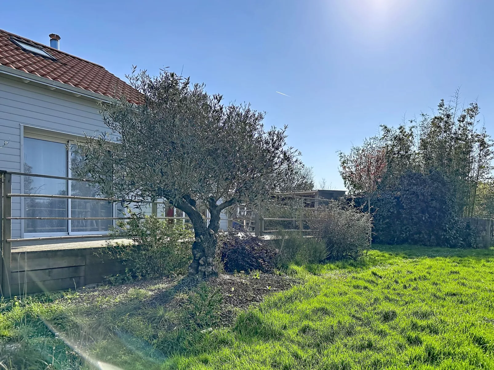 Les Rainettes - Buiten