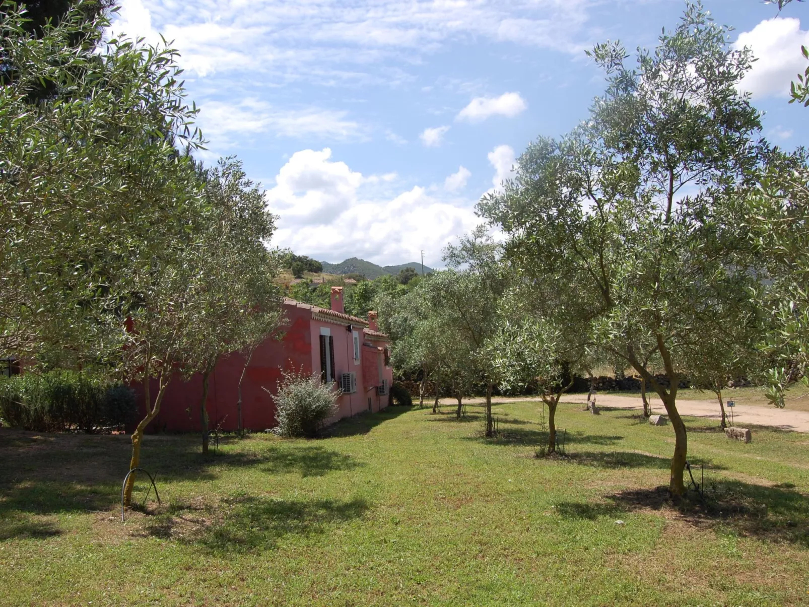 Tenuta 'Olivo Suite' mit Terrasse - Image-tags.info