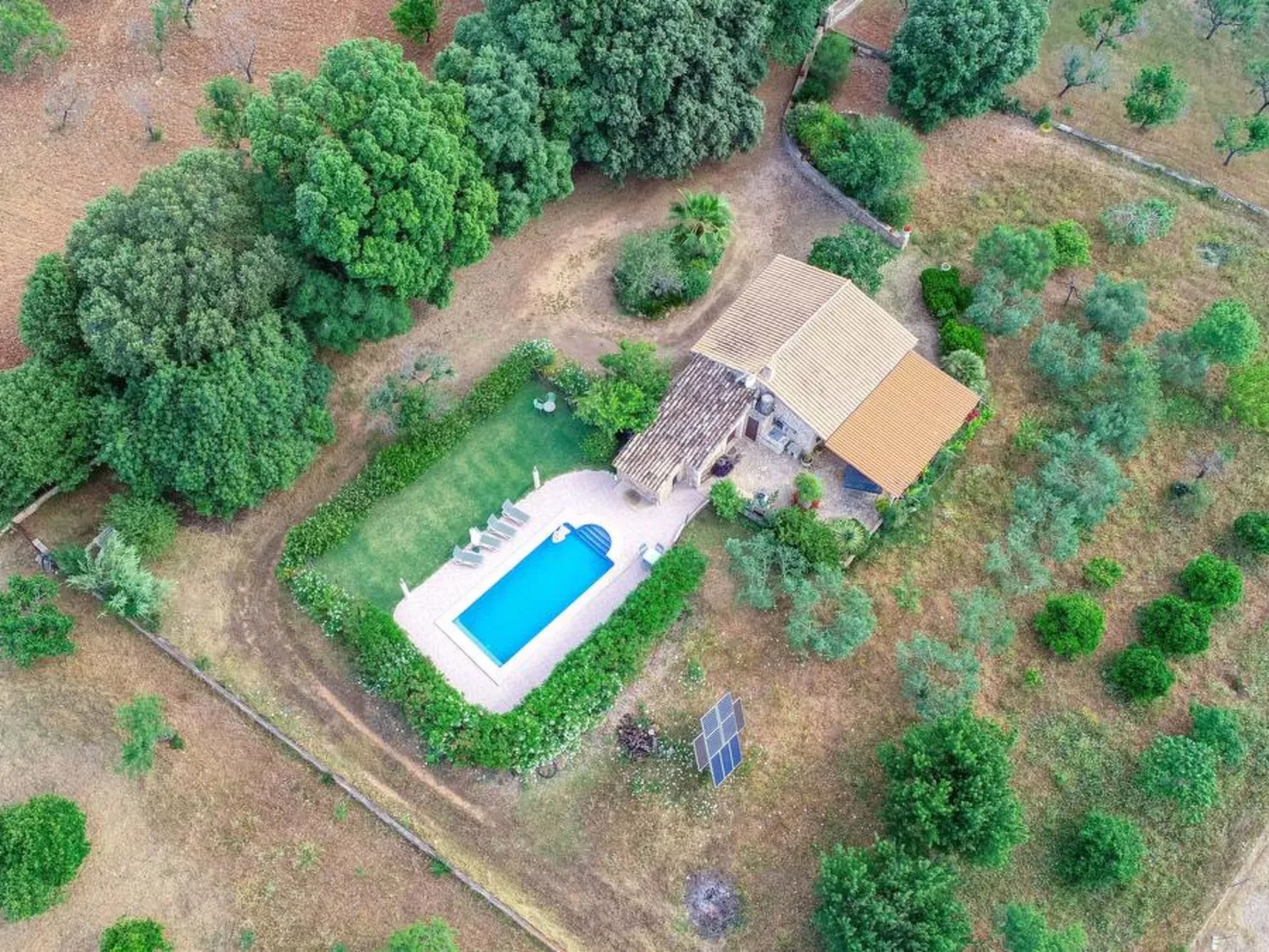 Higuera - Image-tags.info