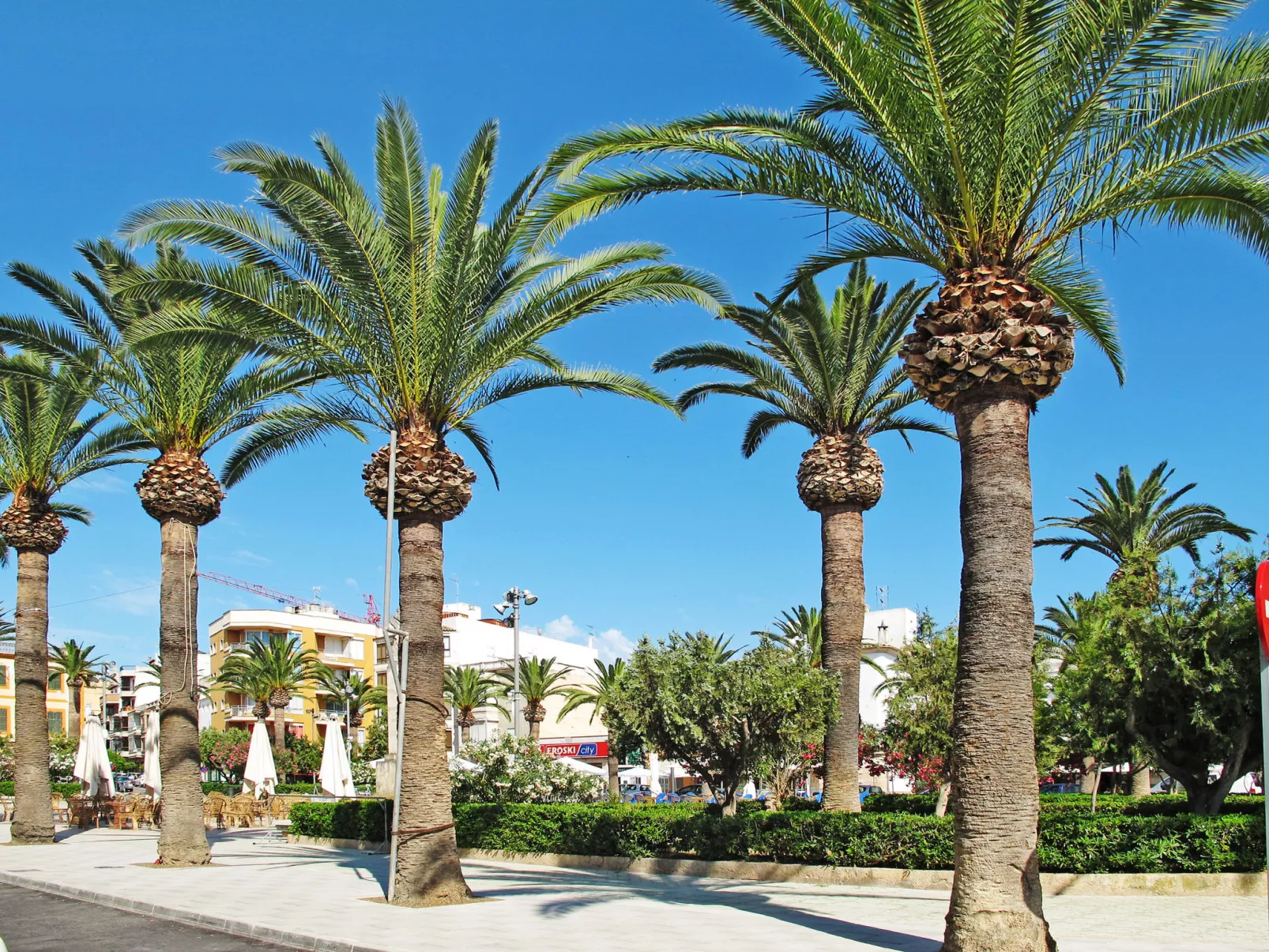 Wunderschönes Landhaus im Landhausstil mit Pool am Ortsrand von Felanitx - Omgeving